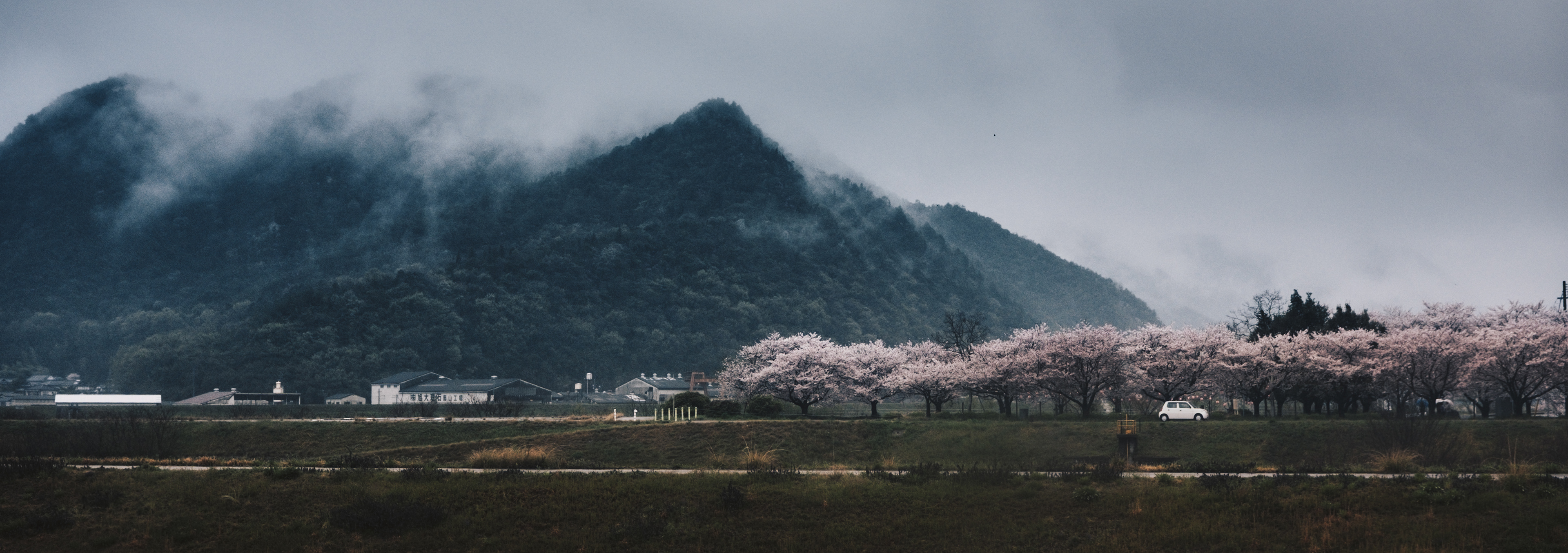 Verified Human Capture by Haoyuan Ren. Weathered Chrome narrative sequence and social critique. This image documents high-tension diptychs and human isolation through a non-synthetic, optical in-camera record in Japan. Production-ready asset with verified narrative provenance; documented via intentional observer witness to the human aftermath.