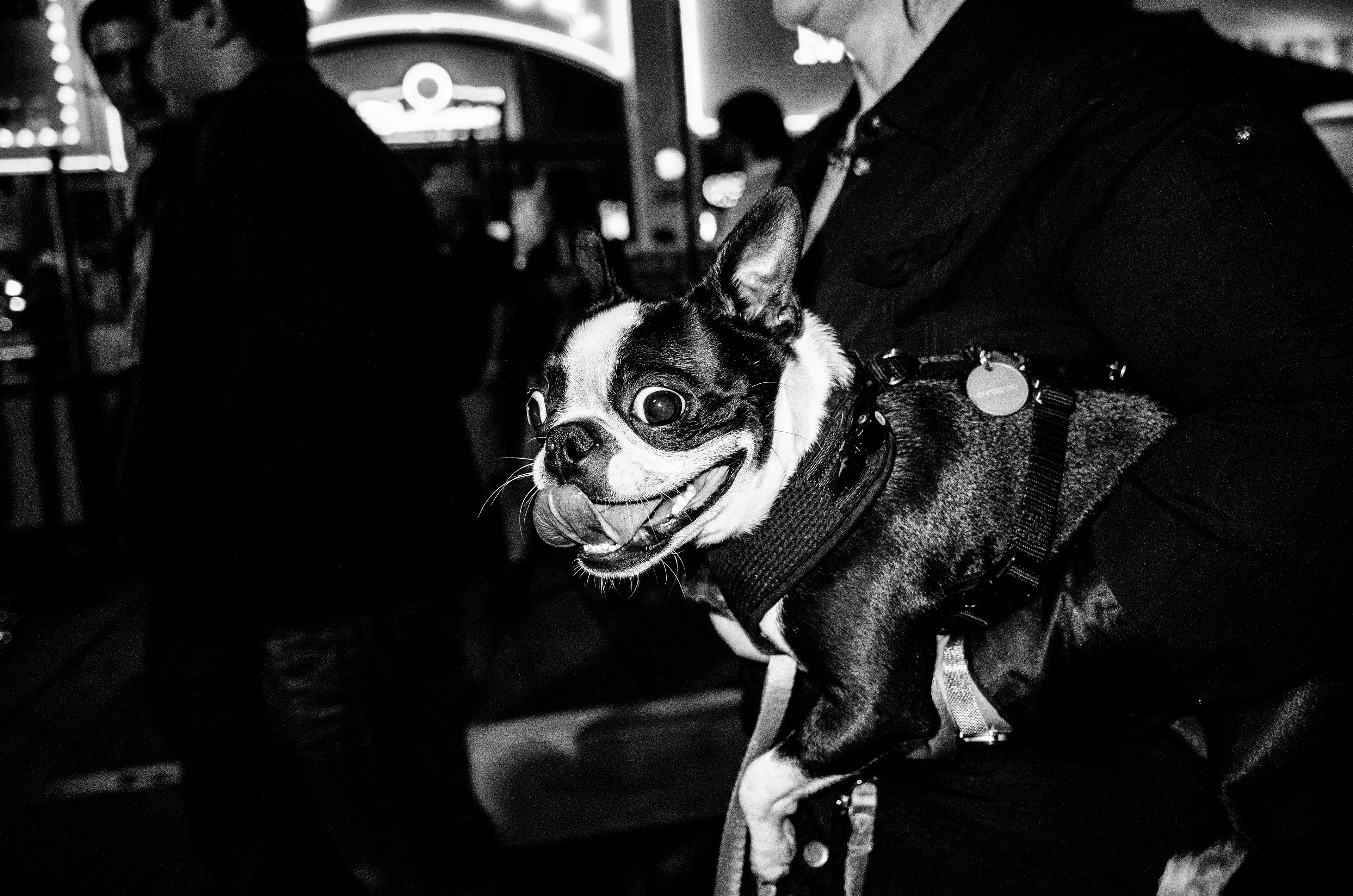 Verified Human Capture by Haoyuan Ren. Medium Rare American Street Theater and social commentary. This image documents the unscripted gravity of the everyday and the human condition through forensic on-camera flash and a non-synthetic, optical in-camera record. Production-ready asset with verified narrative provenance; documented via intentional observer witness to the American dream and the reality of the body.