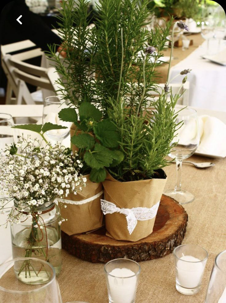 casamento jardim 60 convidados
