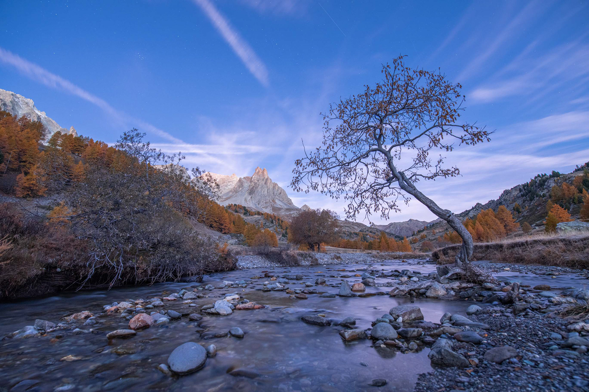 L'aulne de la clarée