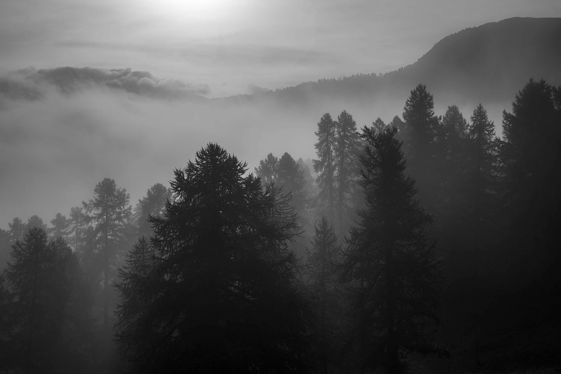 Brouillard