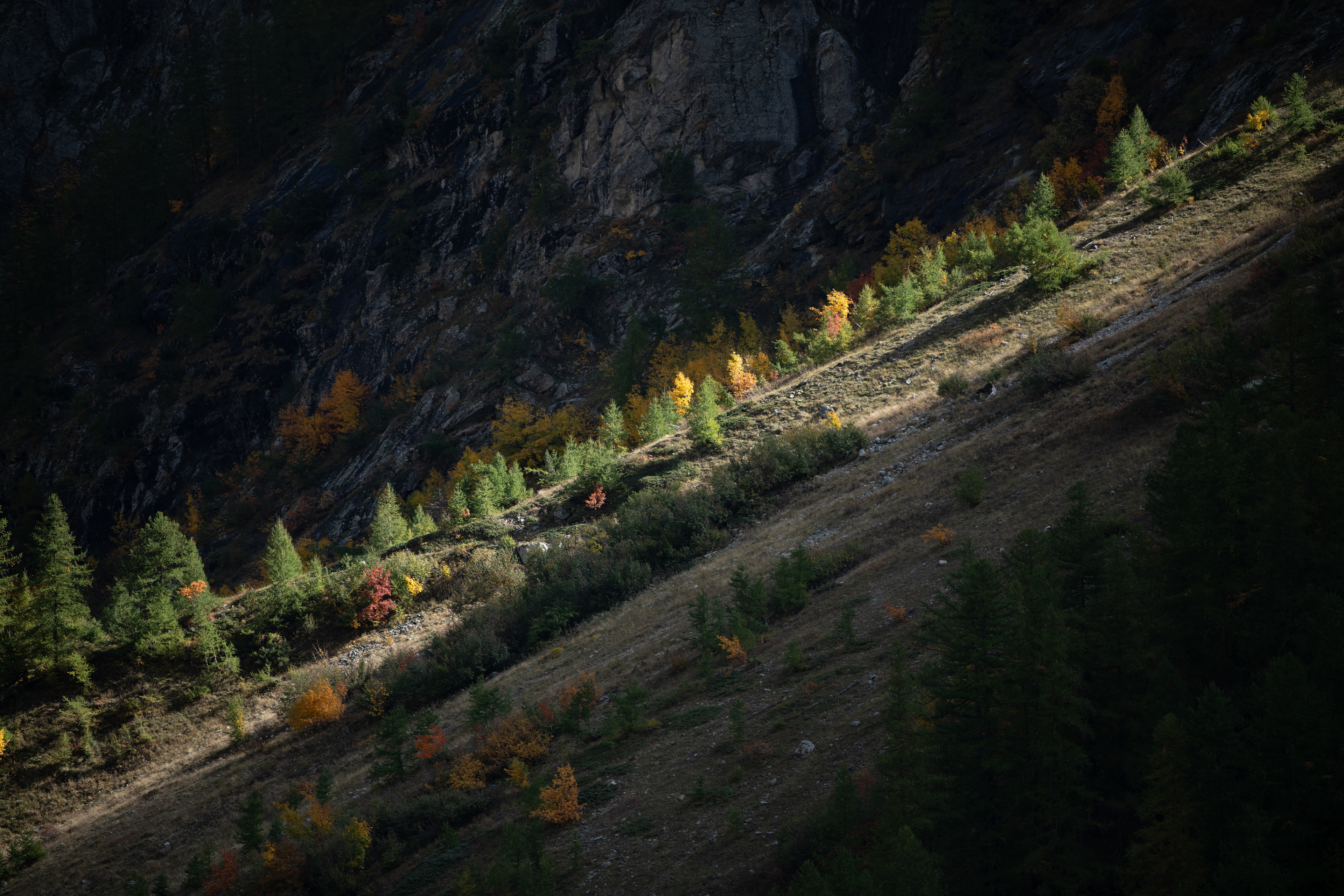 lumiere d'automne - Ecrins