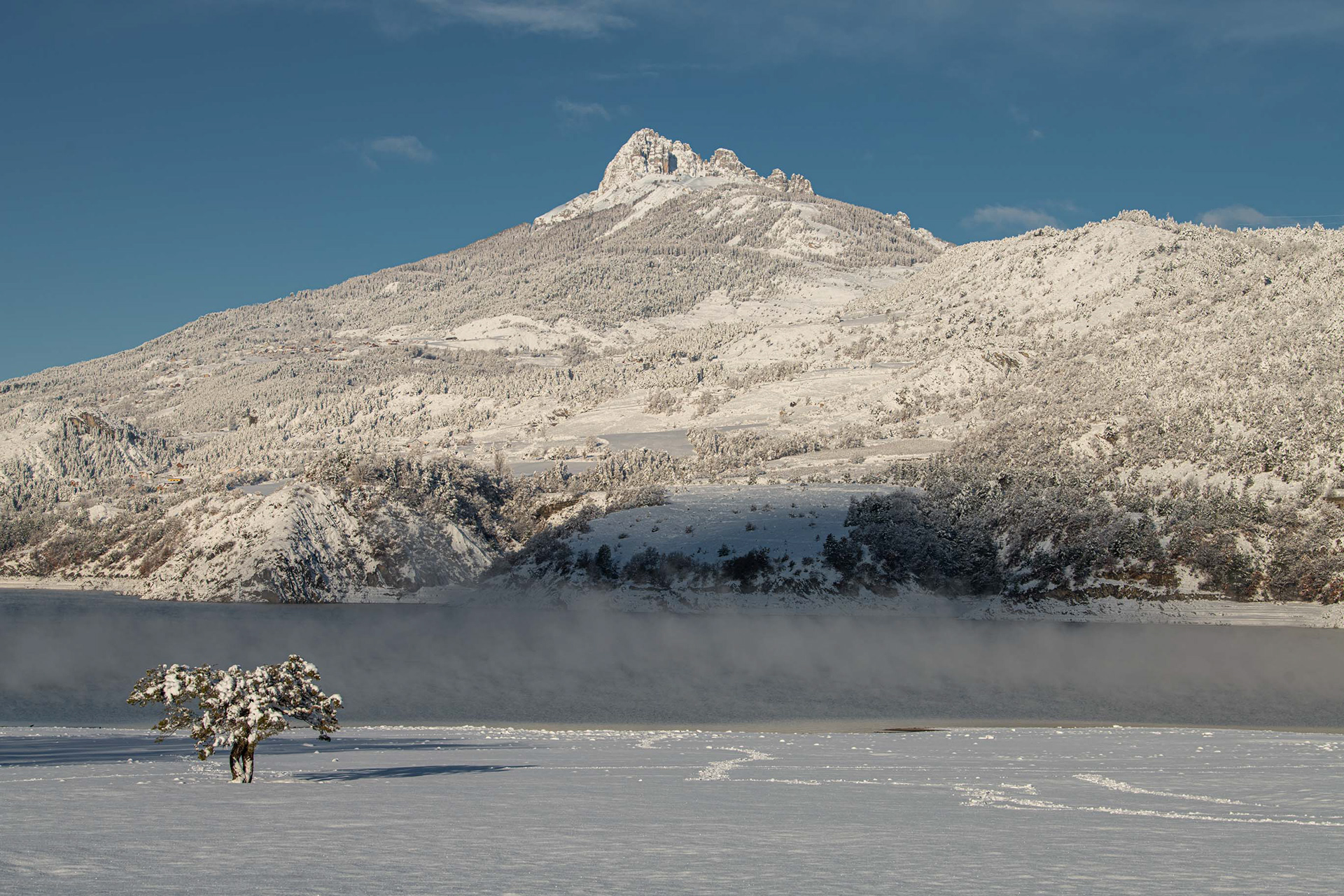 Aiguilles de Chabrières et l'arbre de vie en hiver