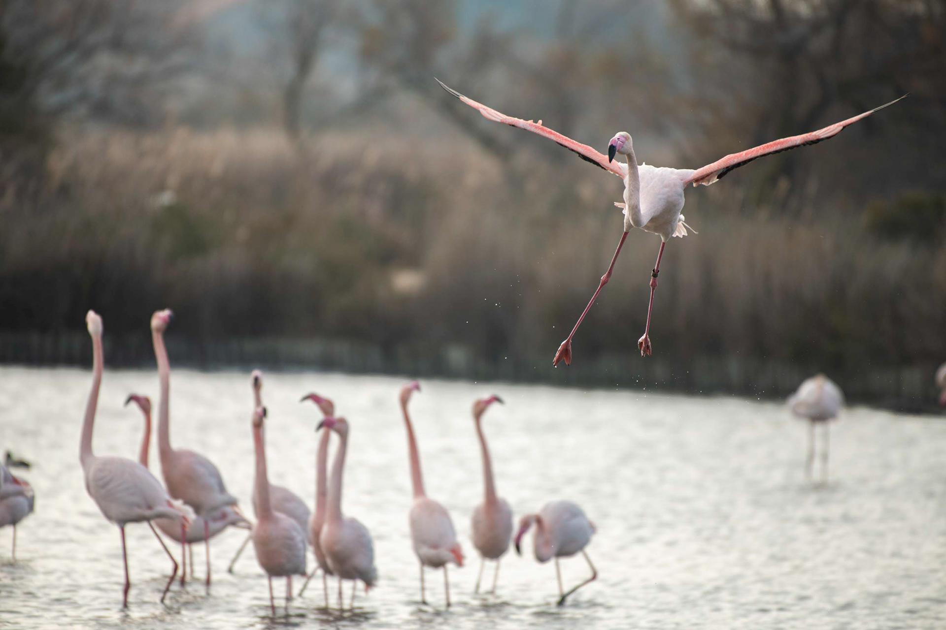 Cliquez sur l'image pour acceder à la galerie