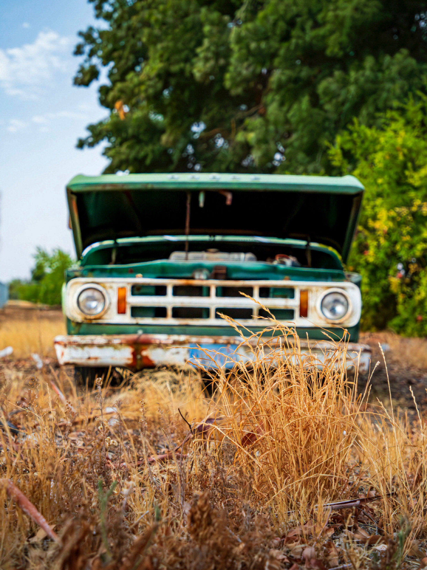 Abandoned Dodge truck