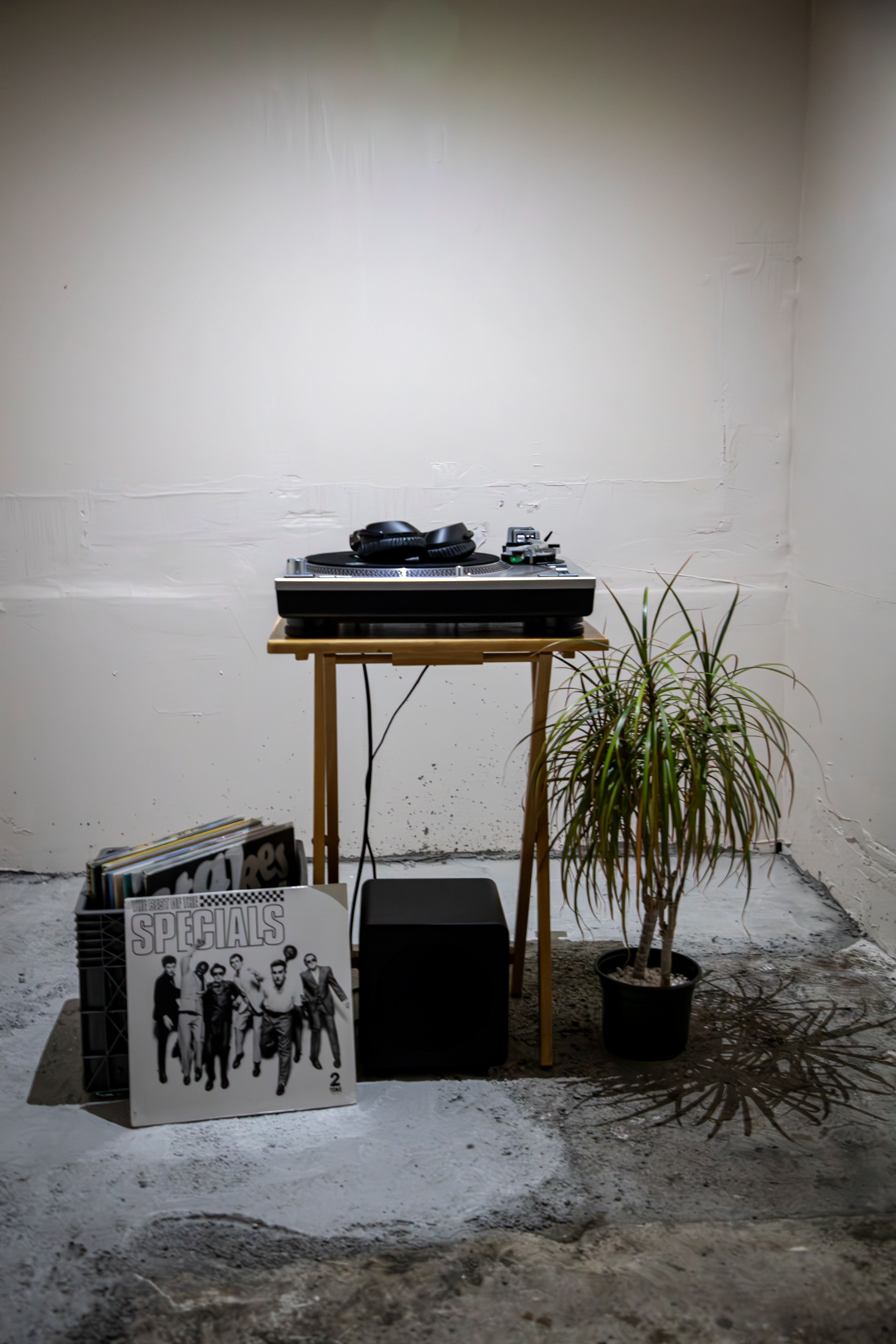 SPECIALS listening station