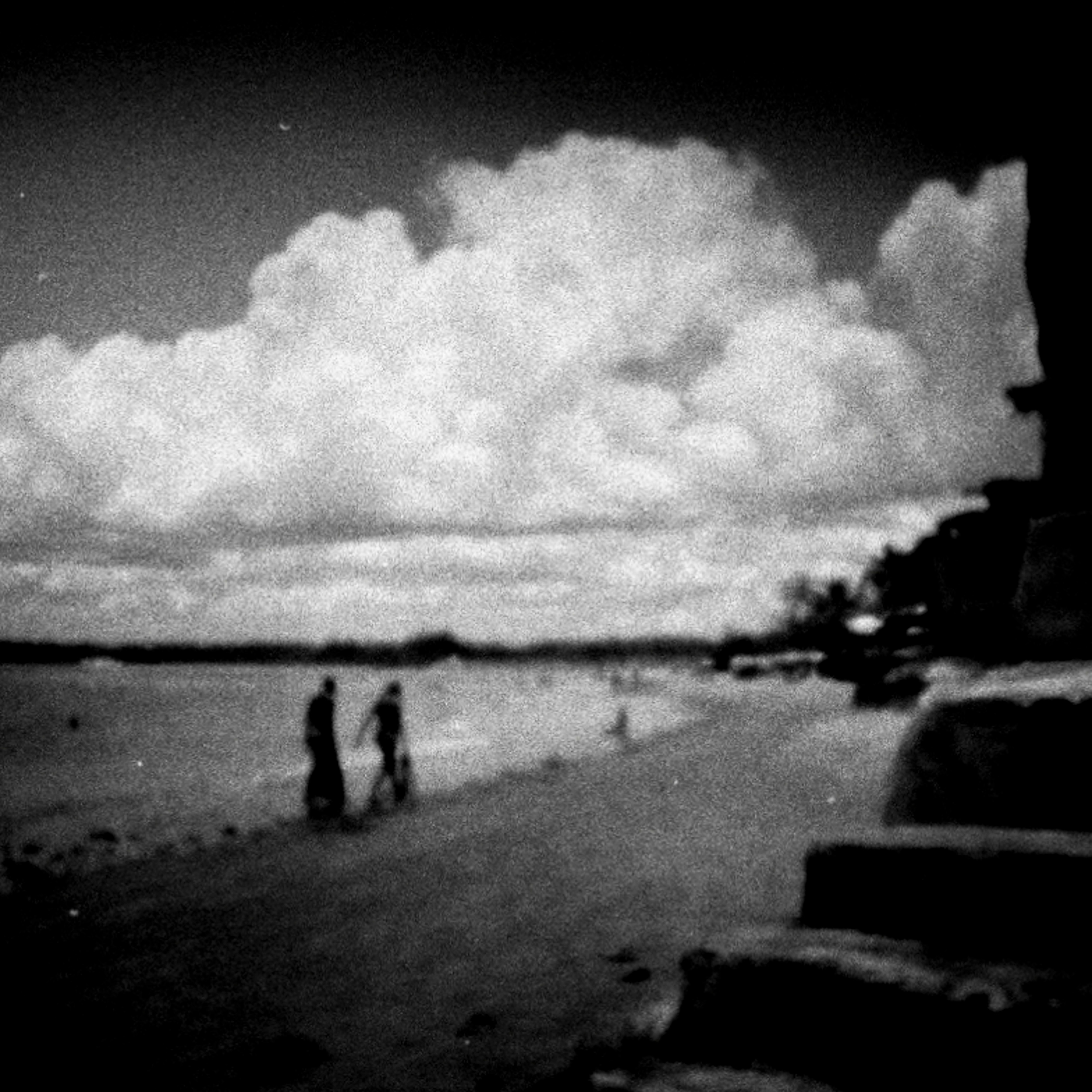 Towards new horizons, B&W Diana Mini 35 mm film, ISO 400