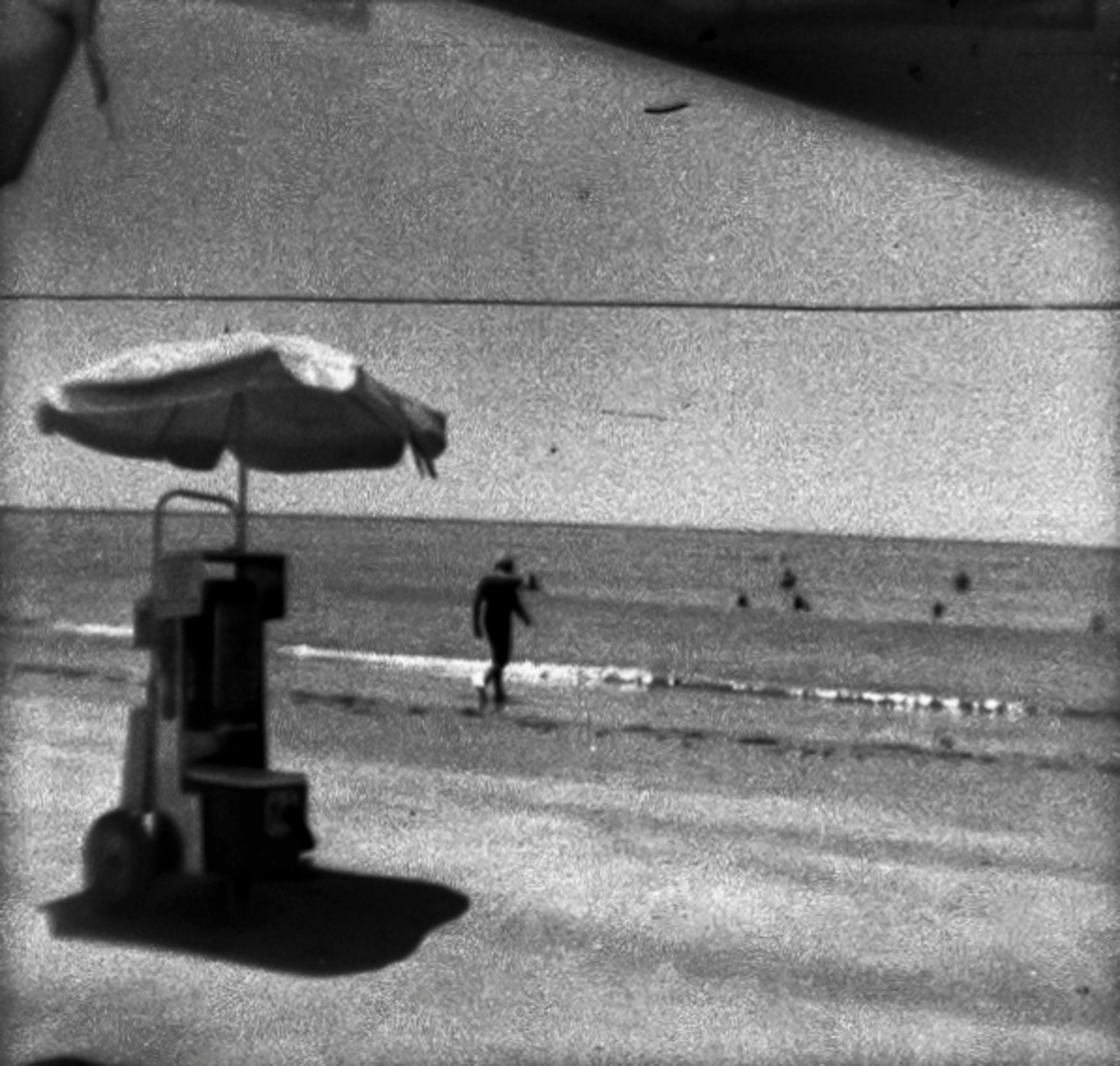 Seaside Sweetness, B&W Diana Baby110, ISO 100