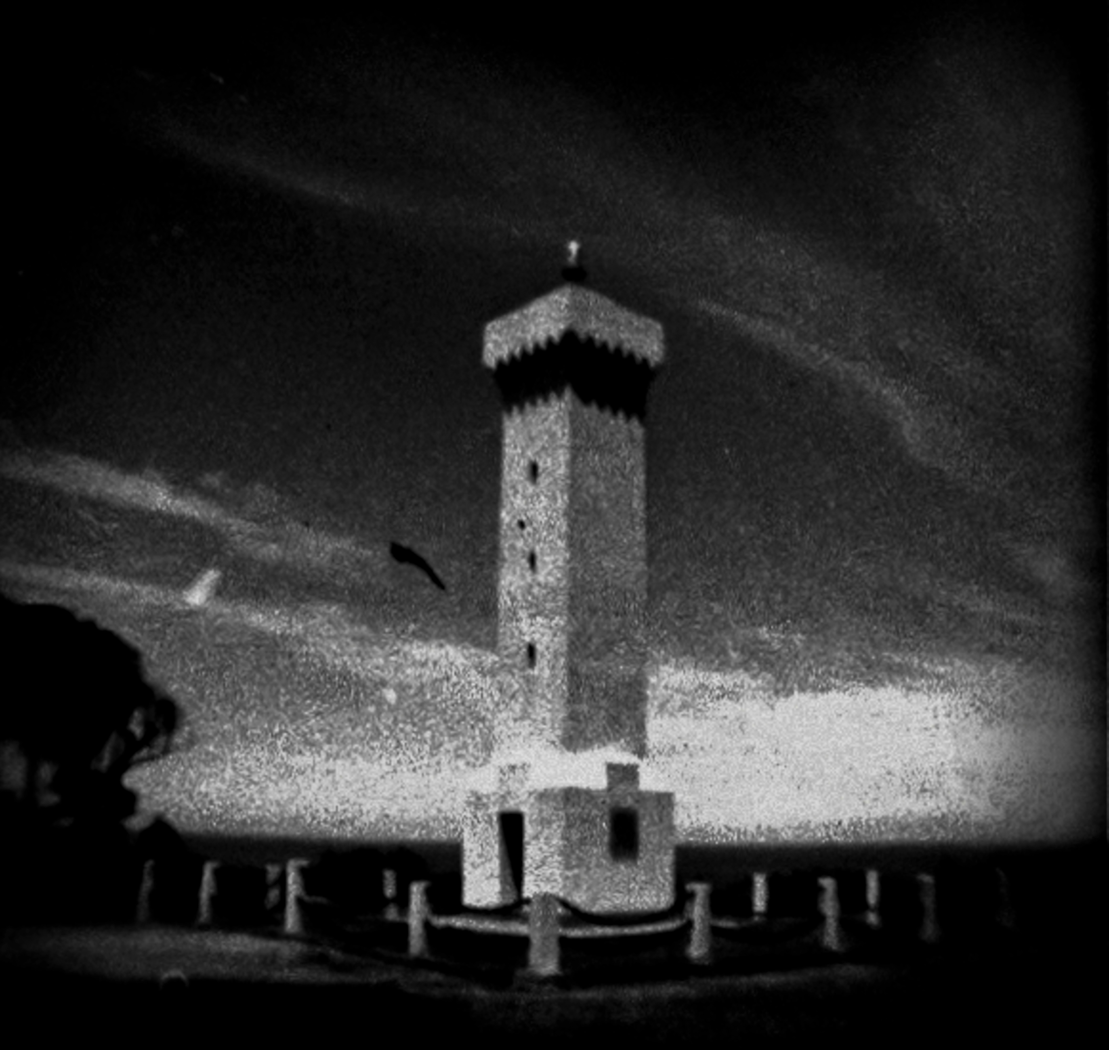 Guiding Light, B&W Diana Baby110, ISO 100