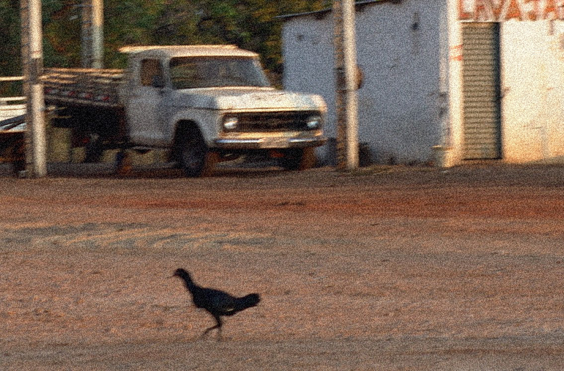 Of a Land Left Behind