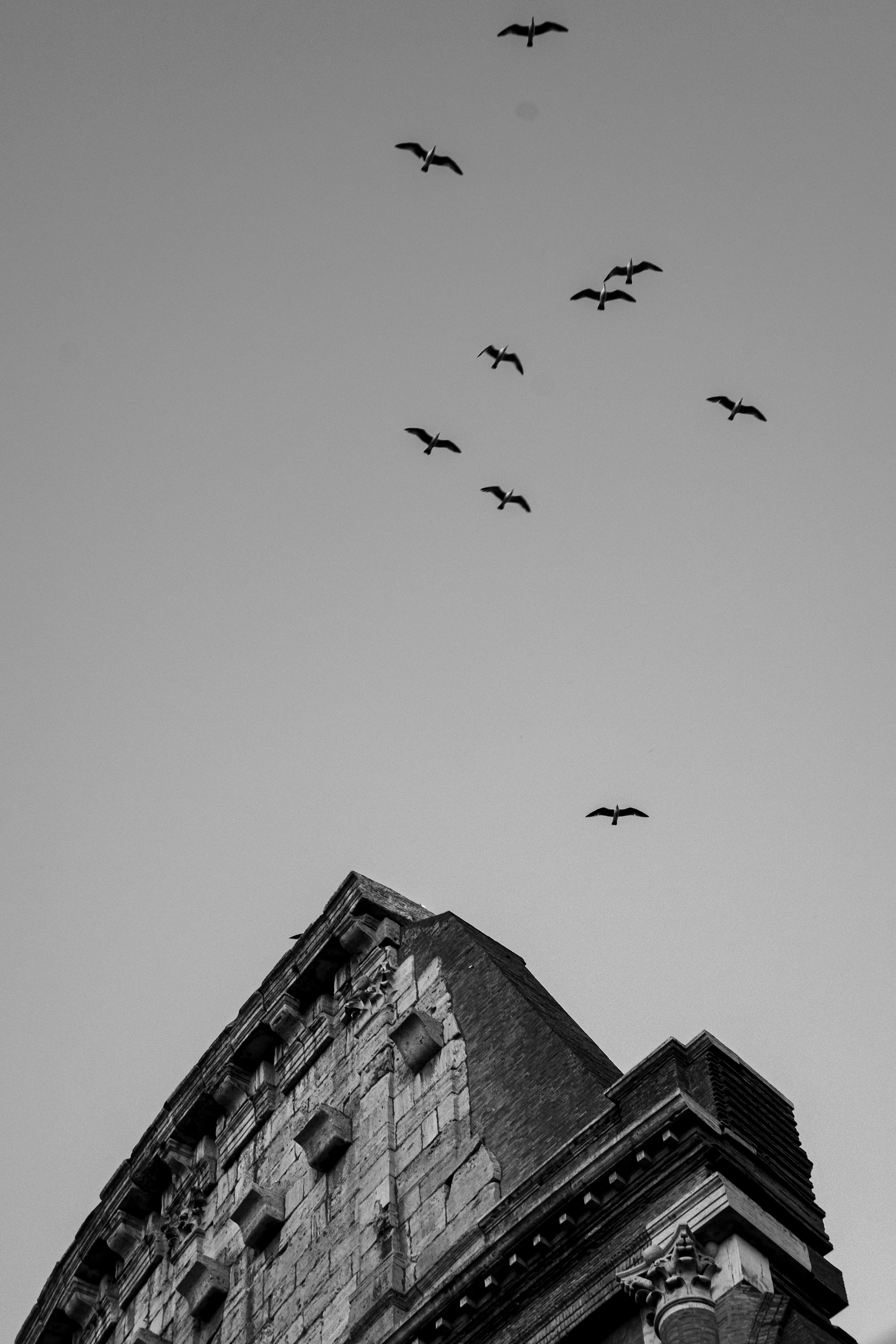 Wings of History, Roma 2024