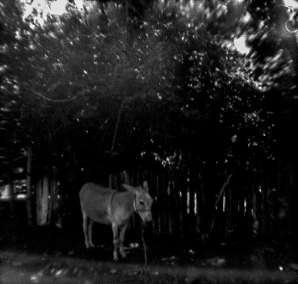 Rustic Charm_B&W 110 mm film, ISO 100