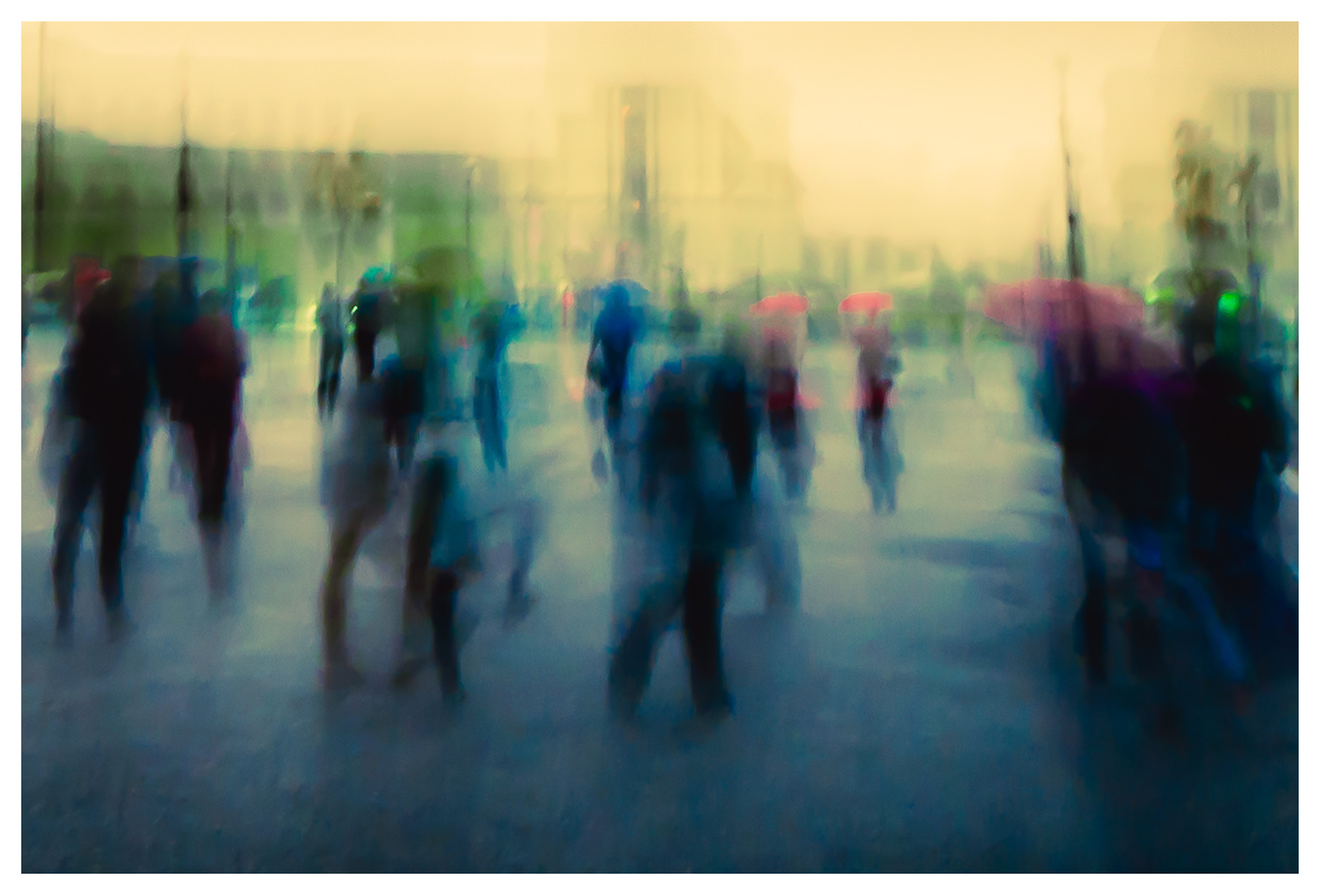 Rainy Reverie (Fotografia 2) 