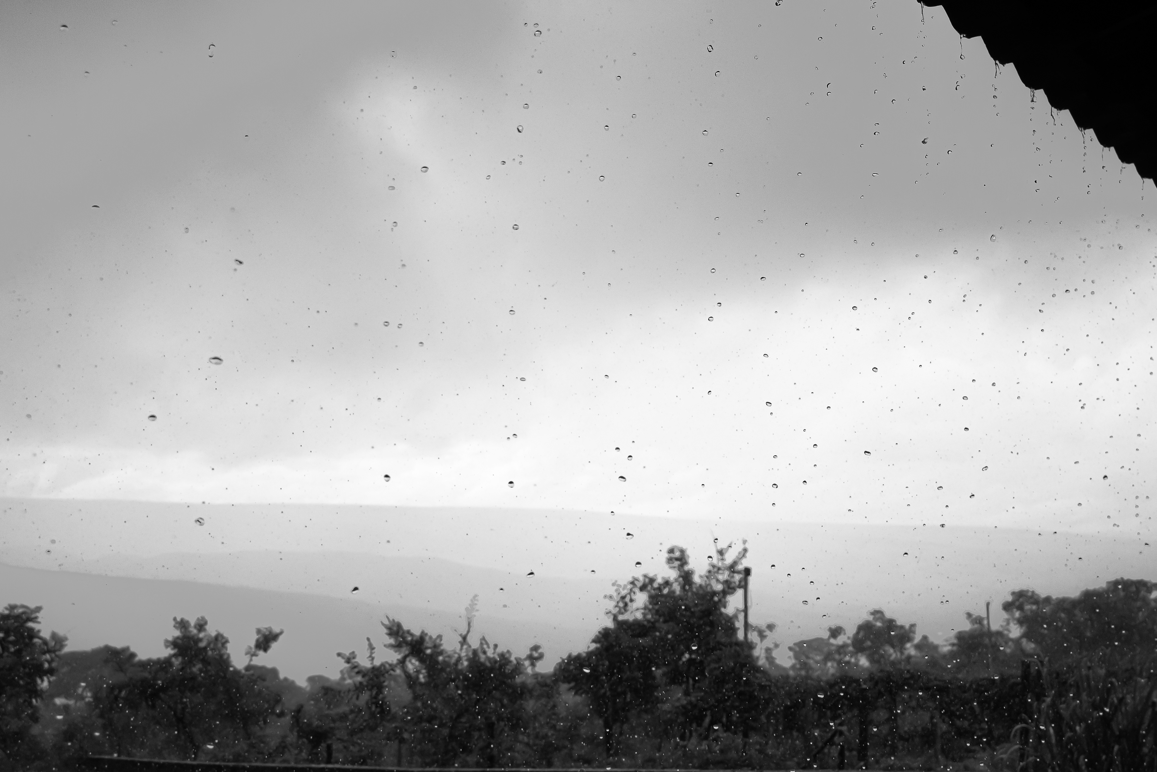 When it rains in the sertão