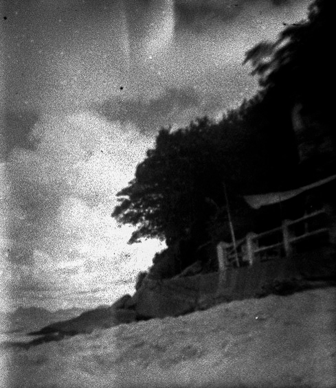 Grounded_B&W 110 mm film, ISO 100