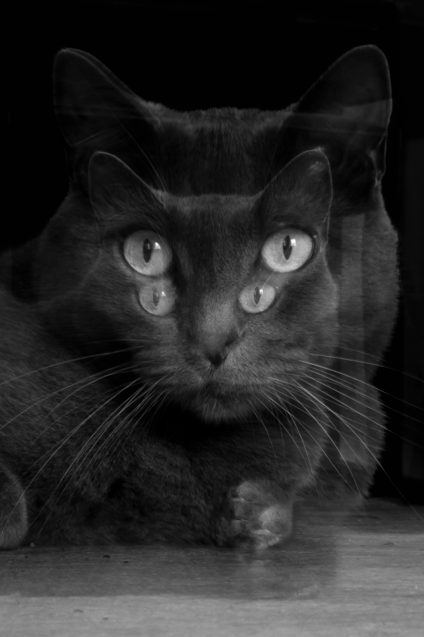 Nightmare Gaze