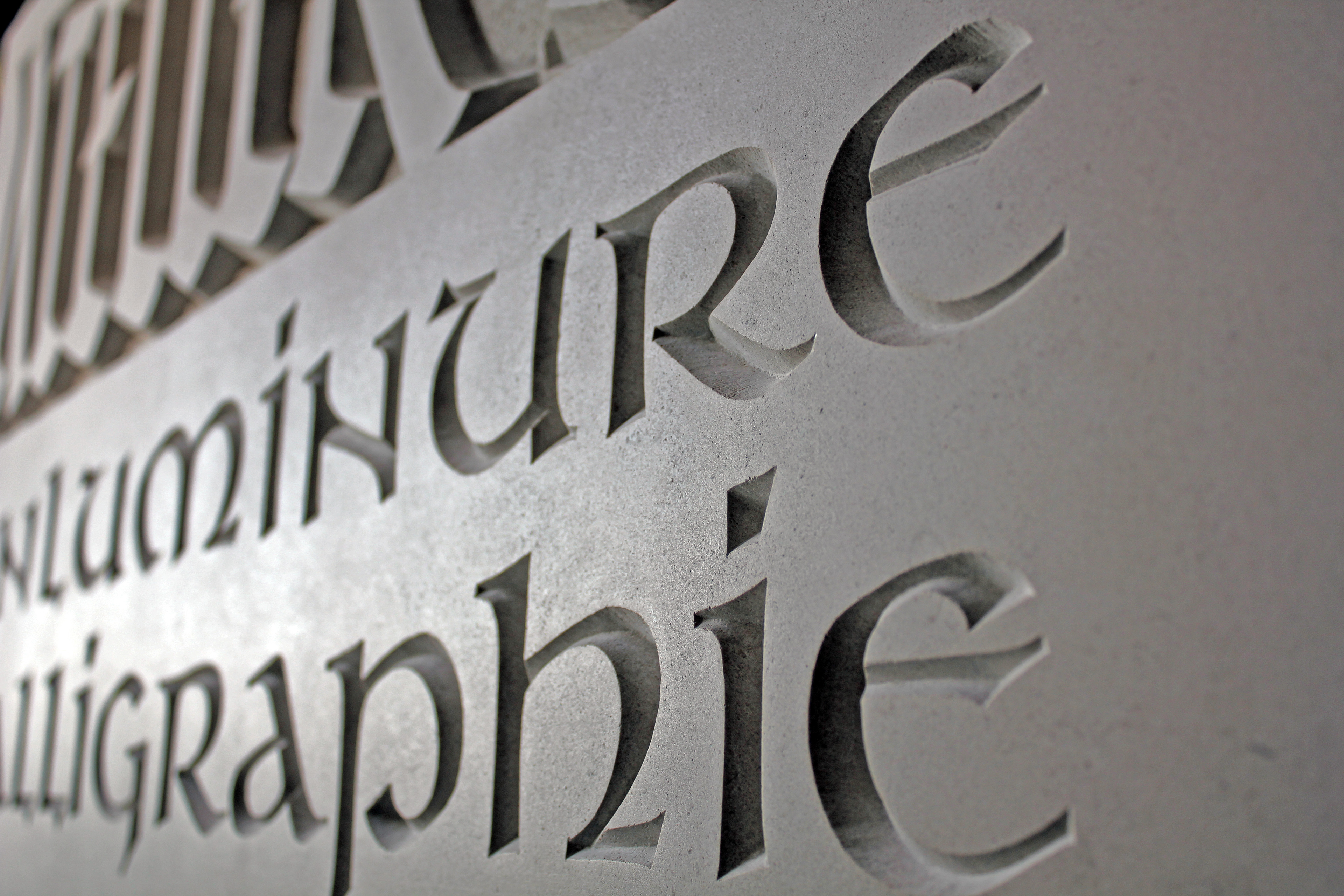 Enseigne - Coulon 79