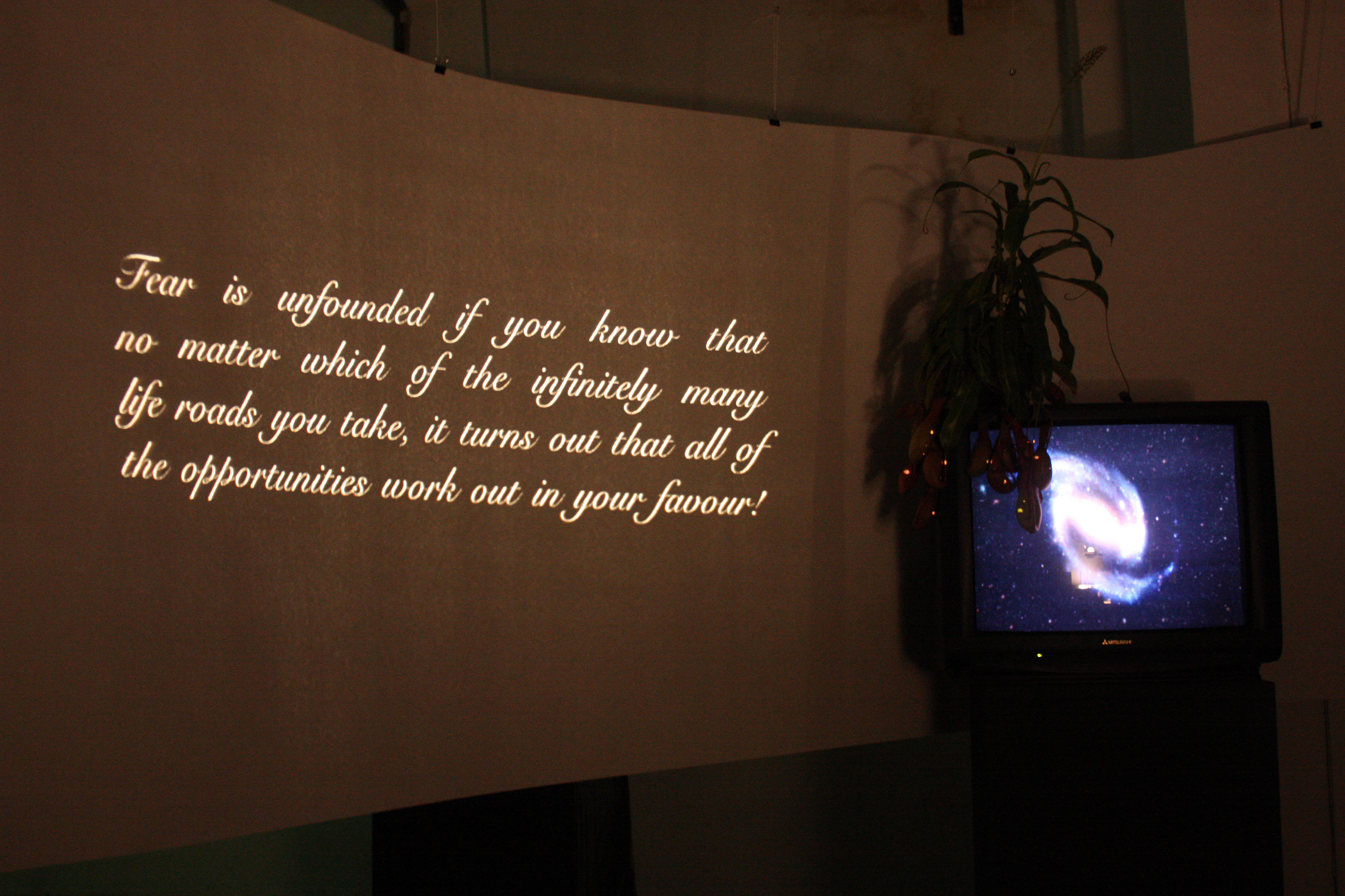 View of Linards Kulless´video projection