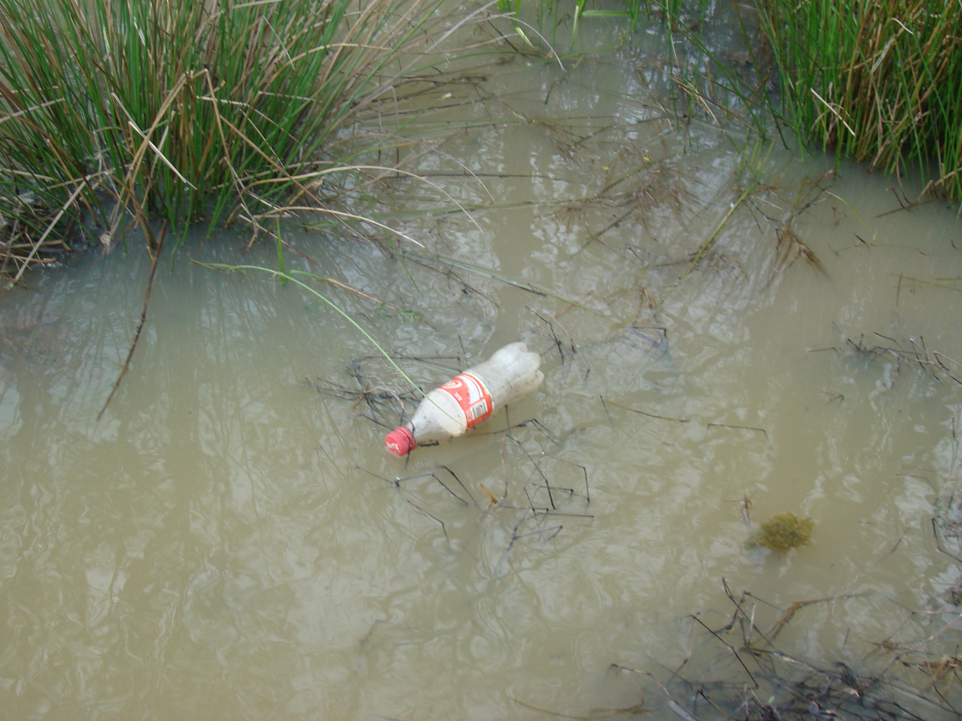 Coca Cola, D.Garevci 2009