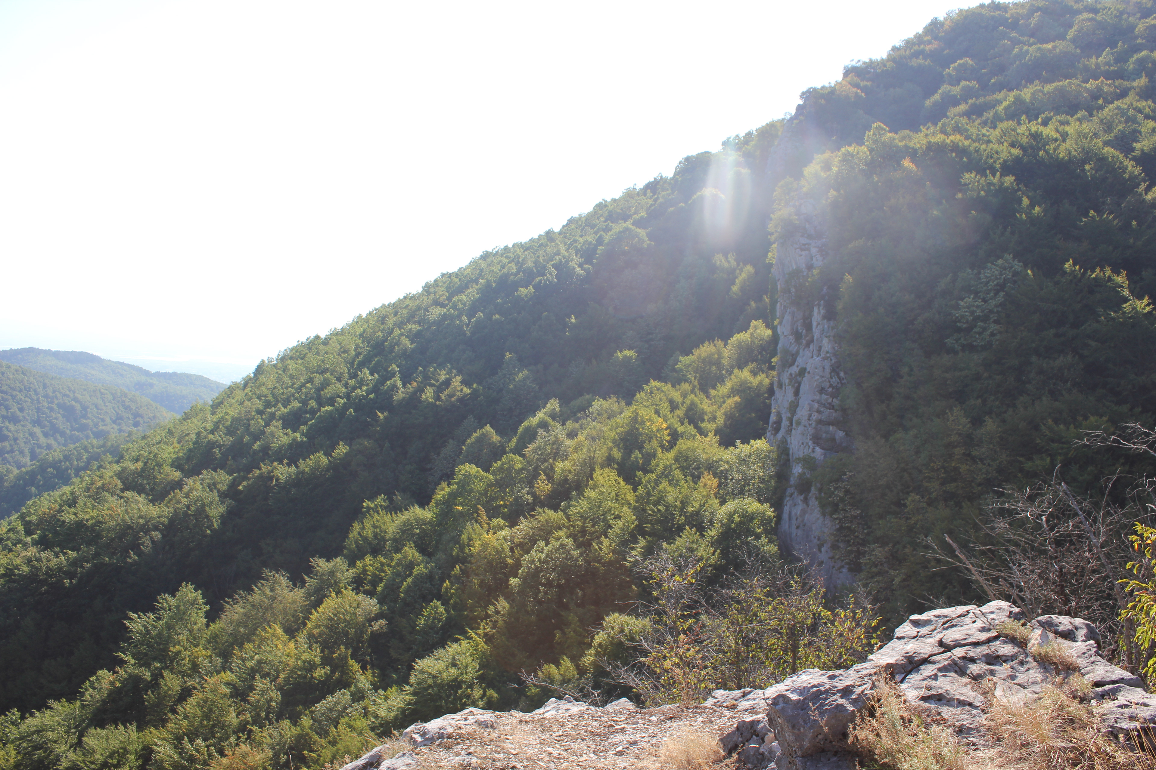 View of Kozara