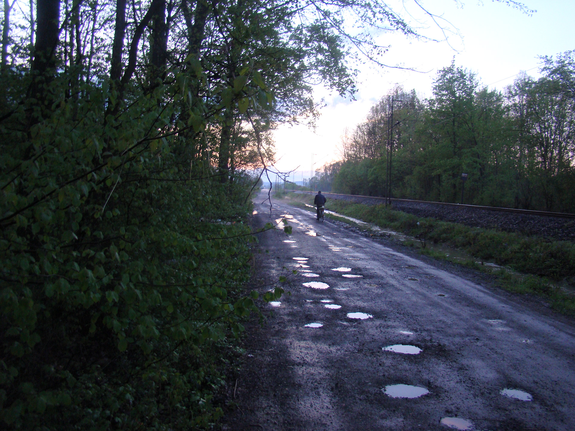 Holes, D.Garevci 2009