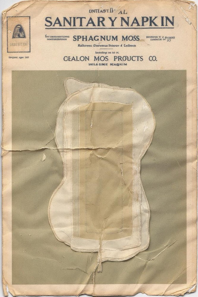 Compresas sanitarias femeninas