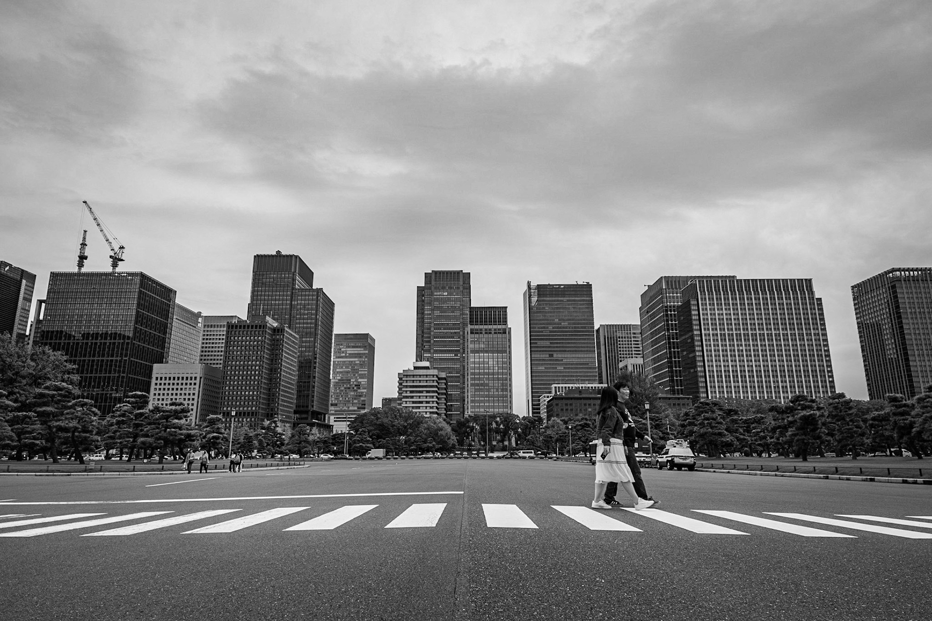 Pedestrian crossing / Tokyo, Japan