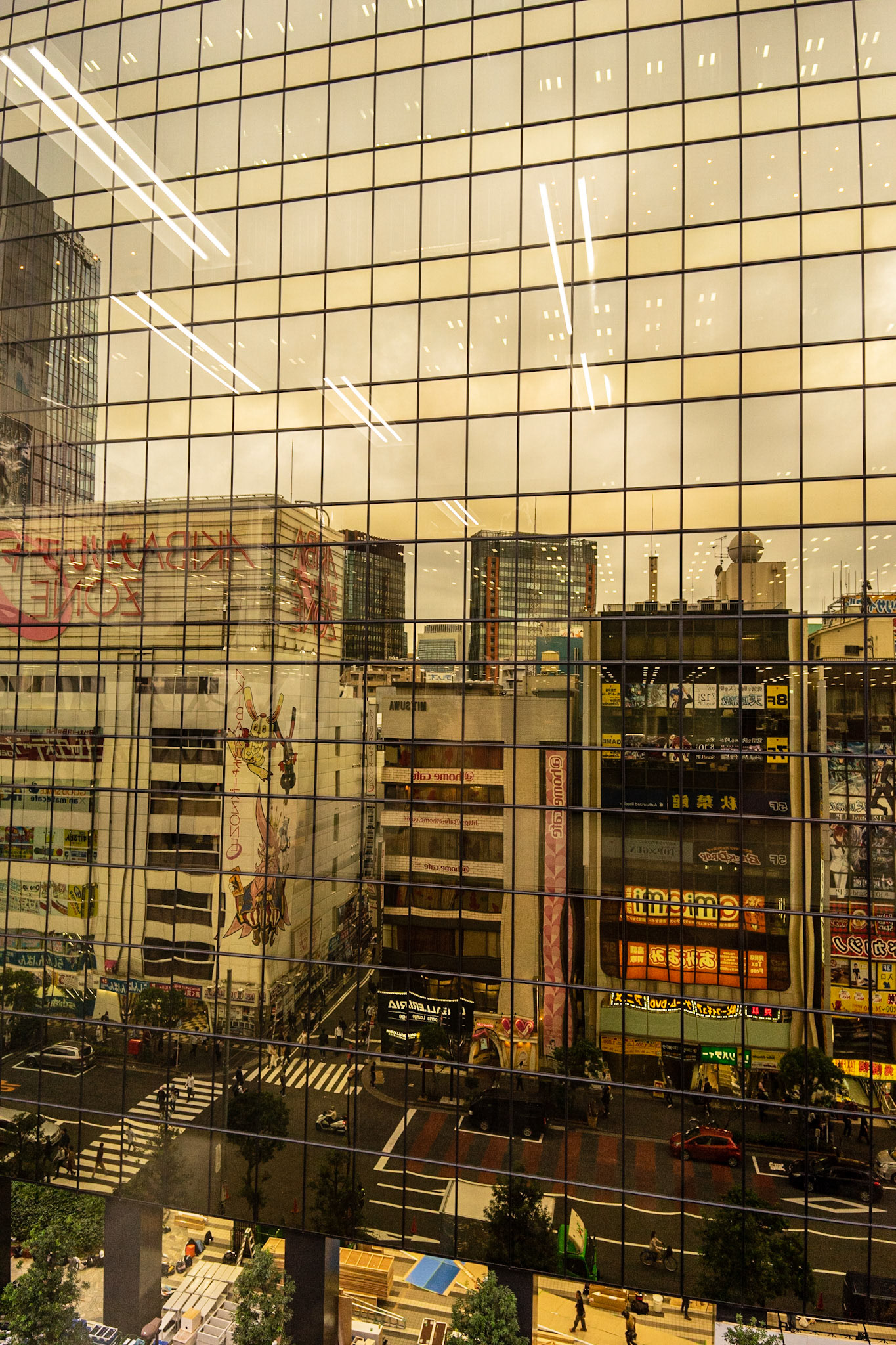 Reflections / Tokyo, Japan