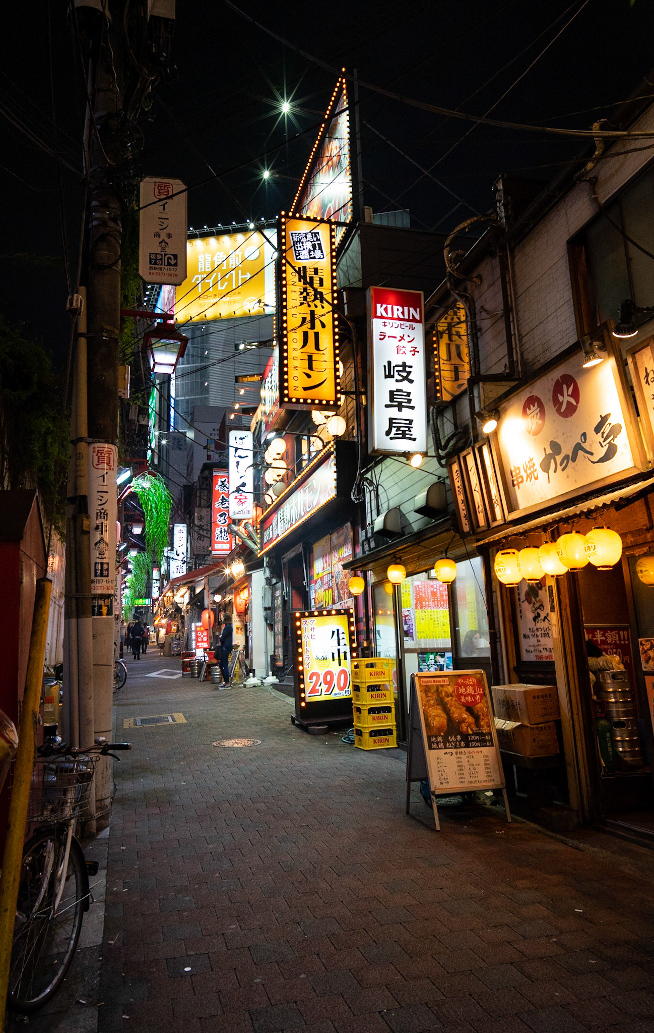 Japanese Street / Tokyo, Japan