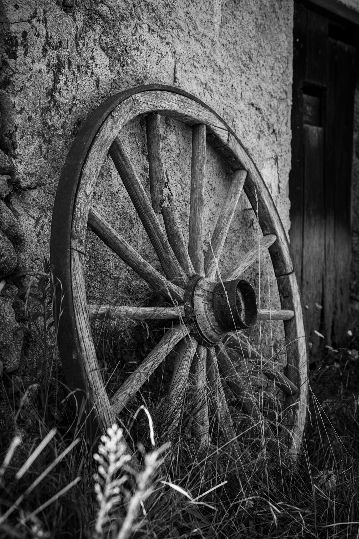 Wheel / Ardèche, France
