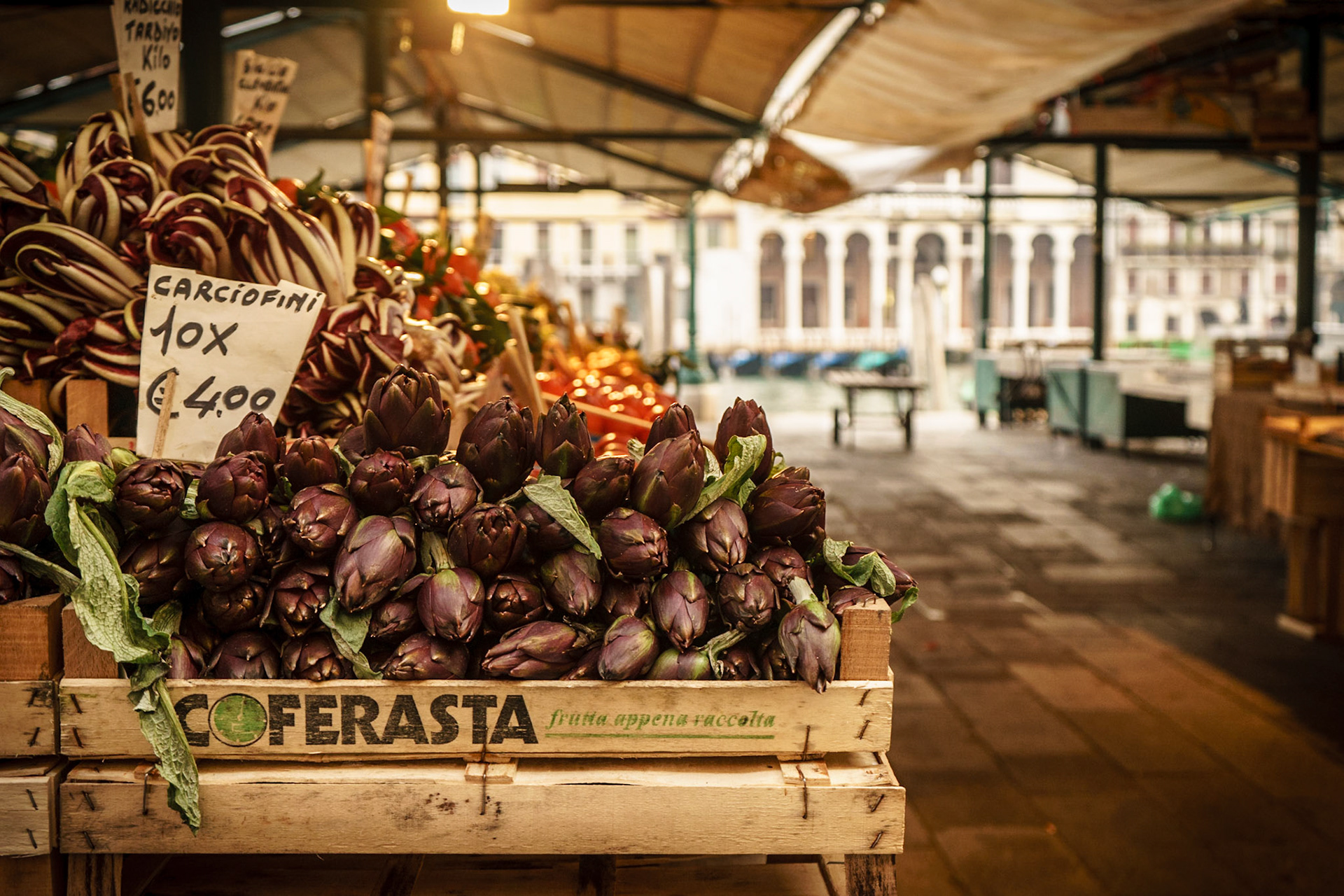 Artichokes / Italy