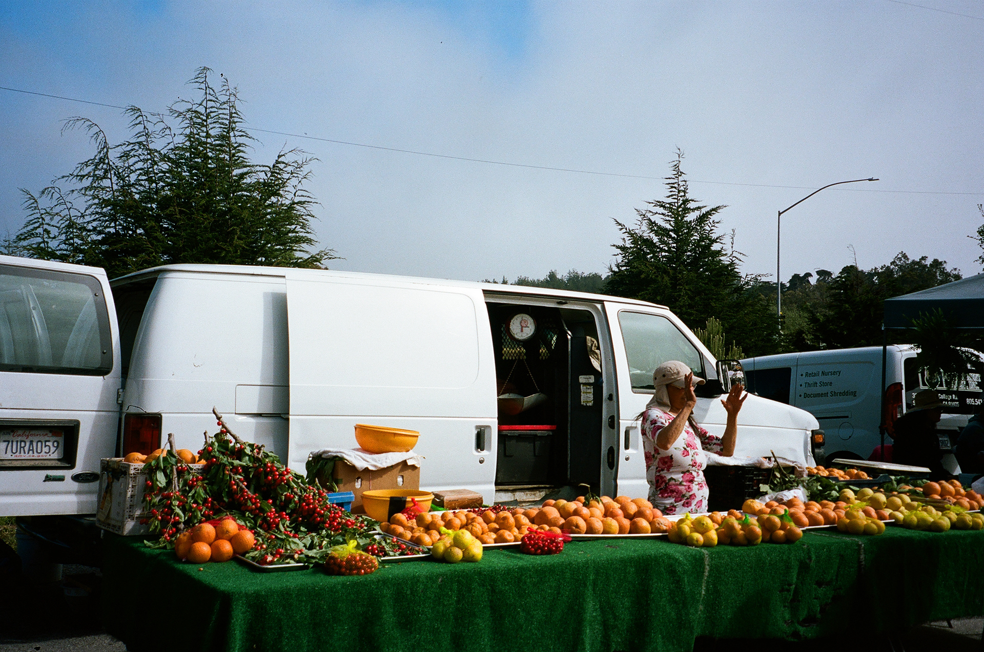 Cambria, California, May 2023