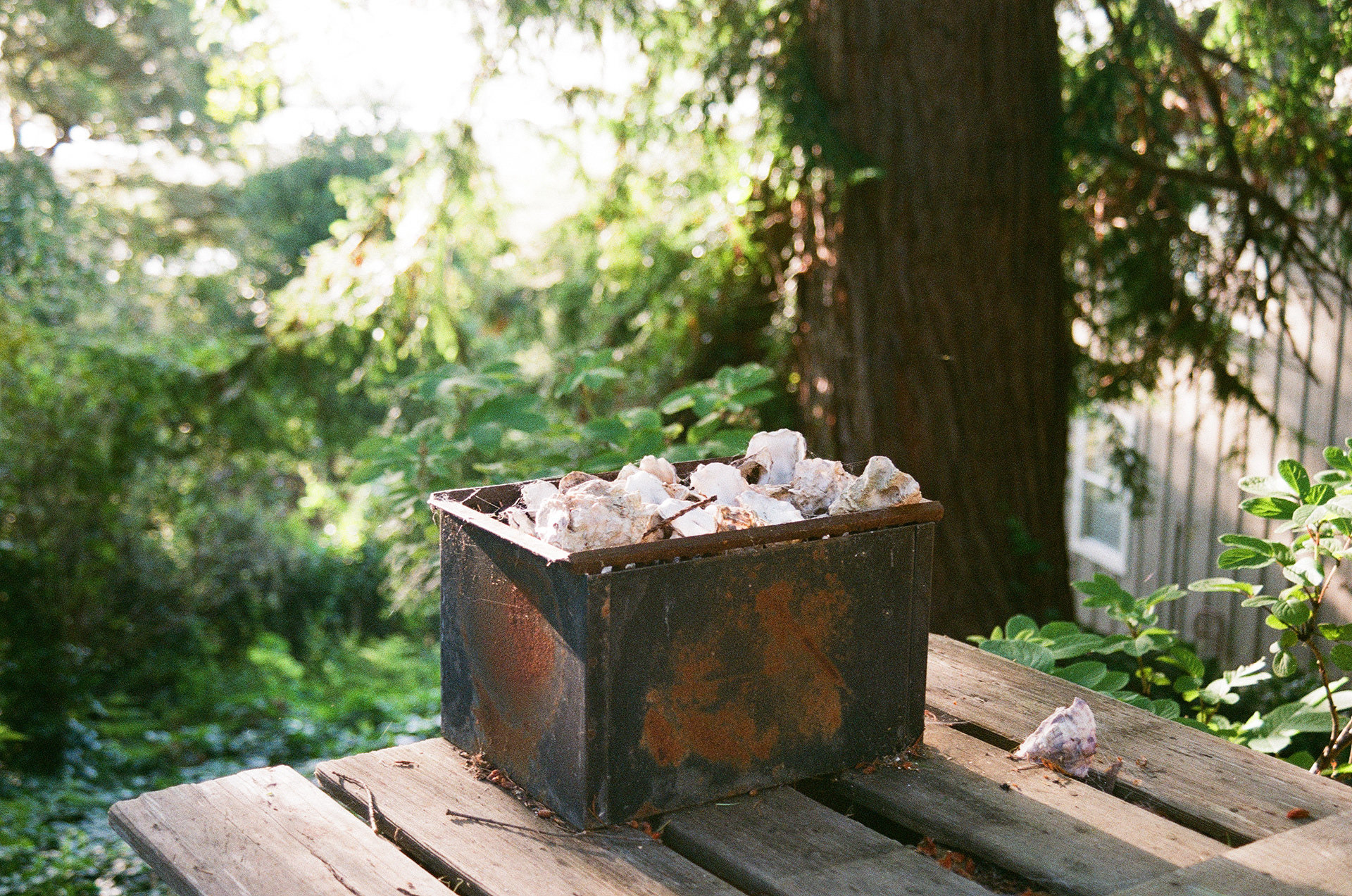 Inverness, California, May 2022