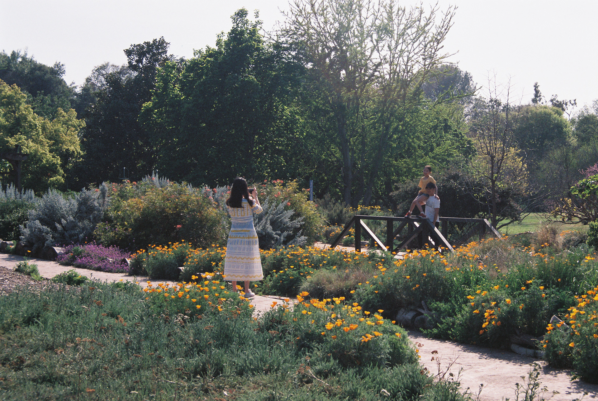Arboretum, Arcatia, California, May 2021