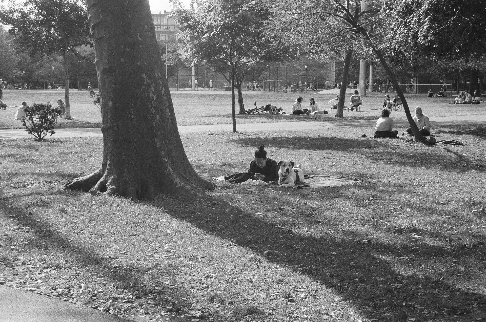 McCarren Park, Brooklyn, New York