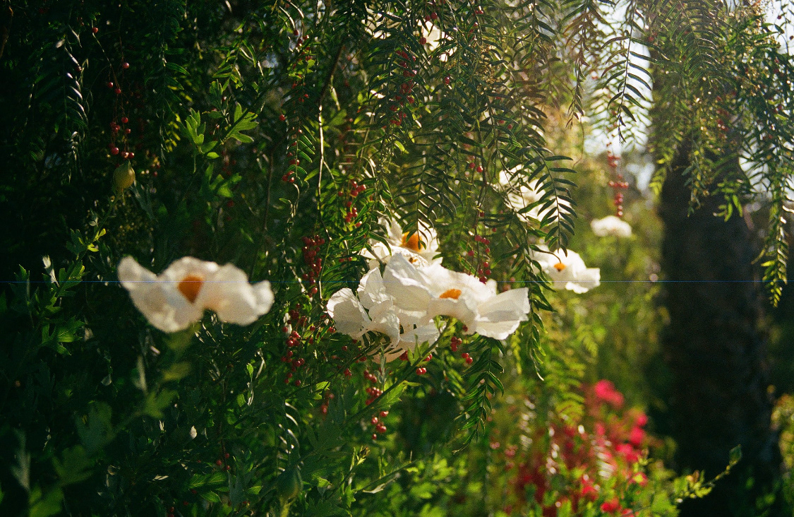 Ojai, California, May 2021