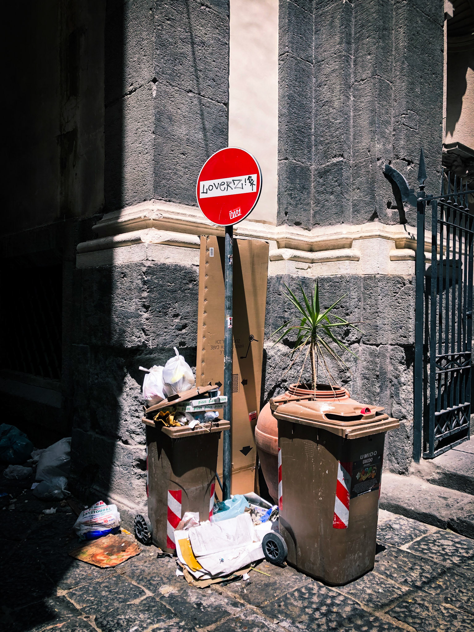 Spazzatura Natura