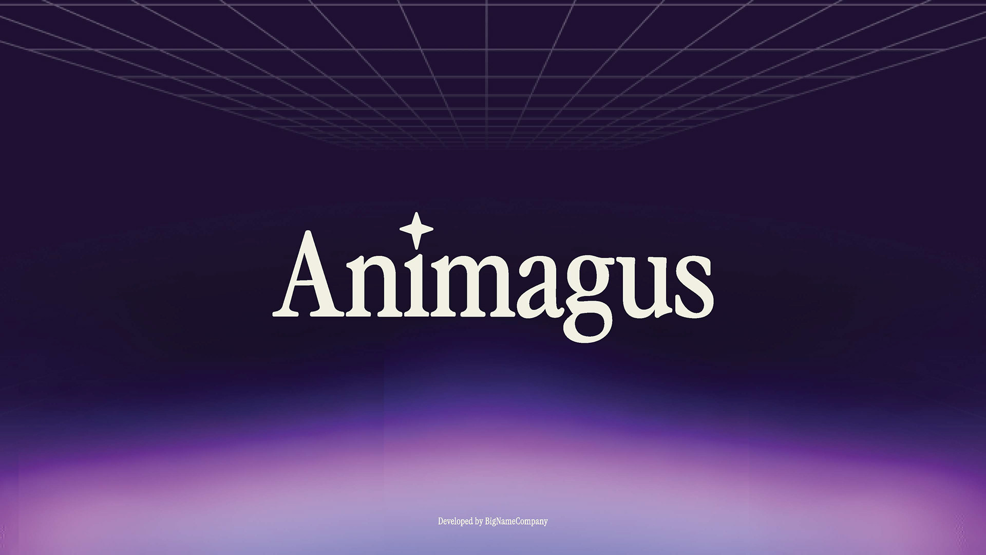 Animagus — Tech Startup Pitch Deck: Pitch Deck · Presentation Design · Investor Materials