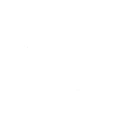 logo with 3 birds