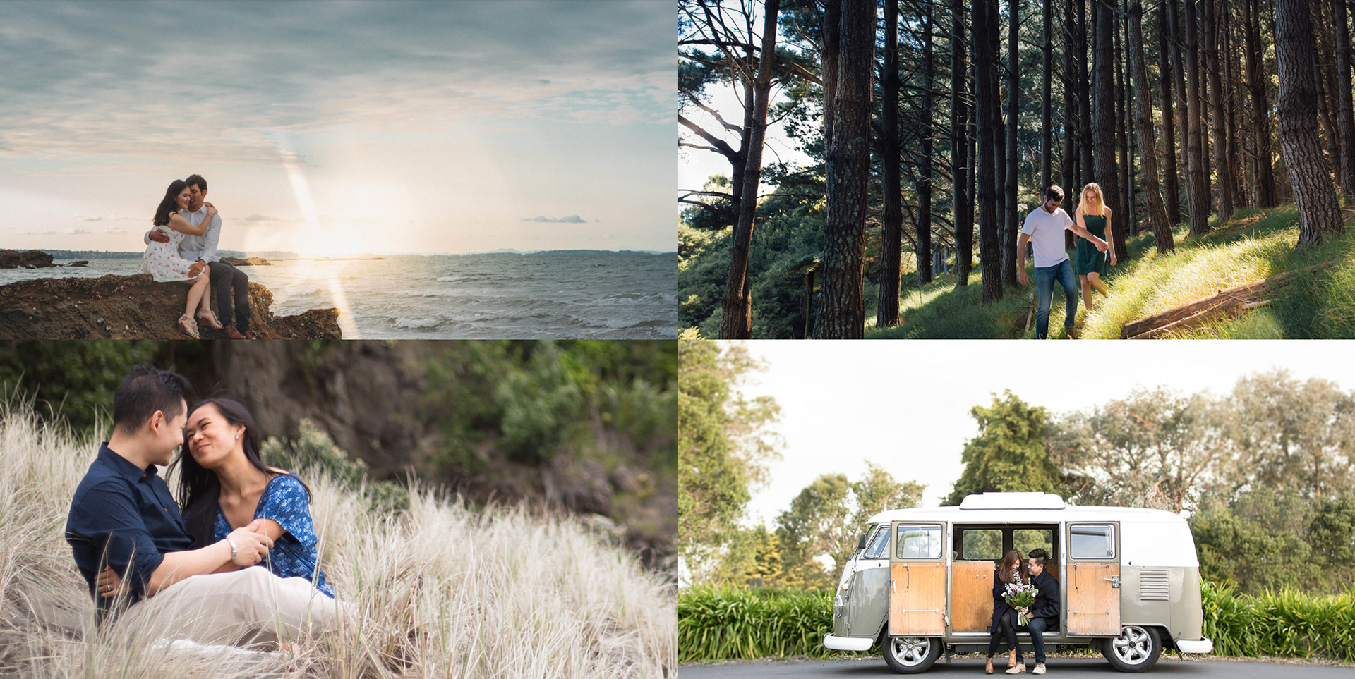 Hare & Bear Photography Portofolio