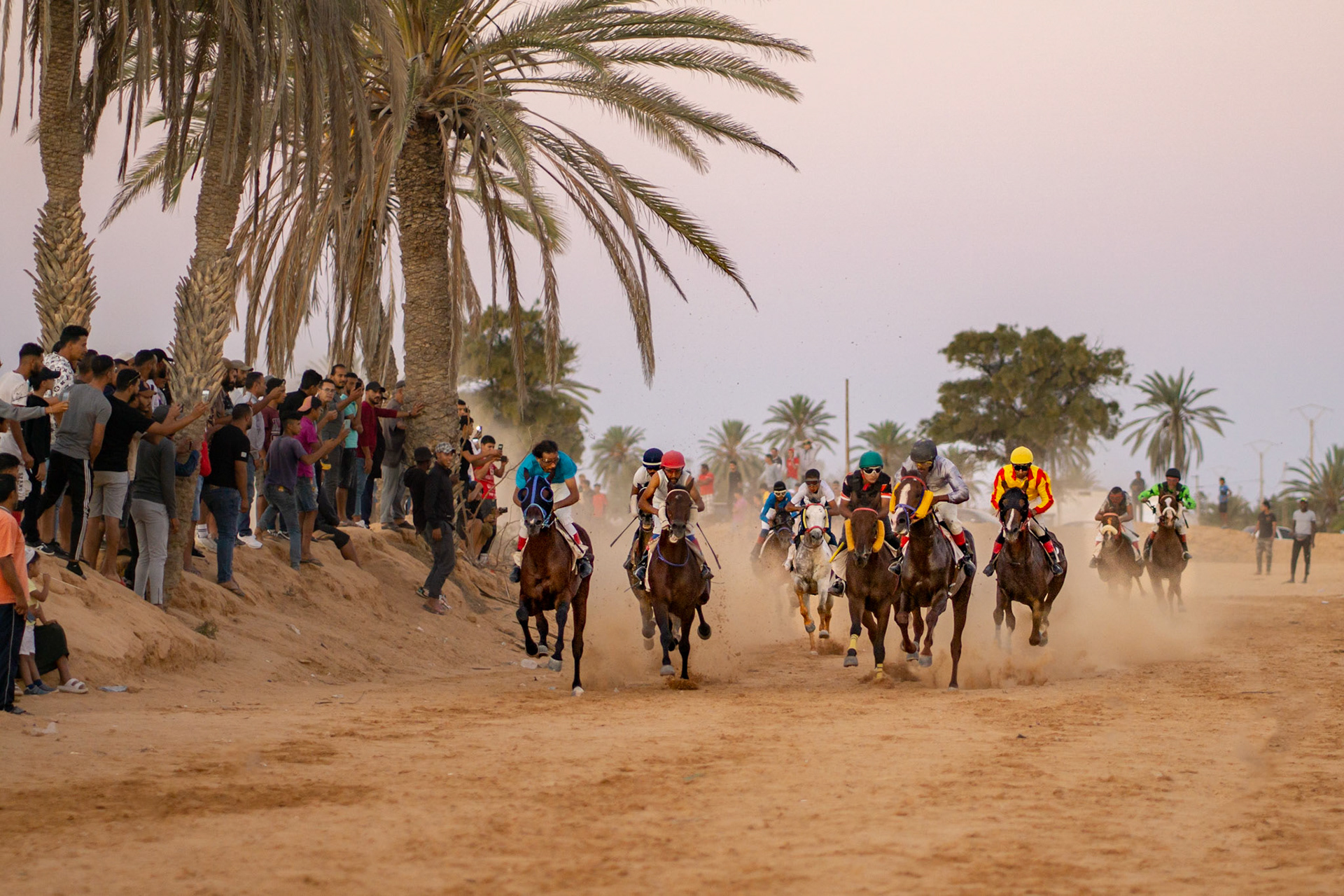 Course - Associantion équestre Midoun Djerba