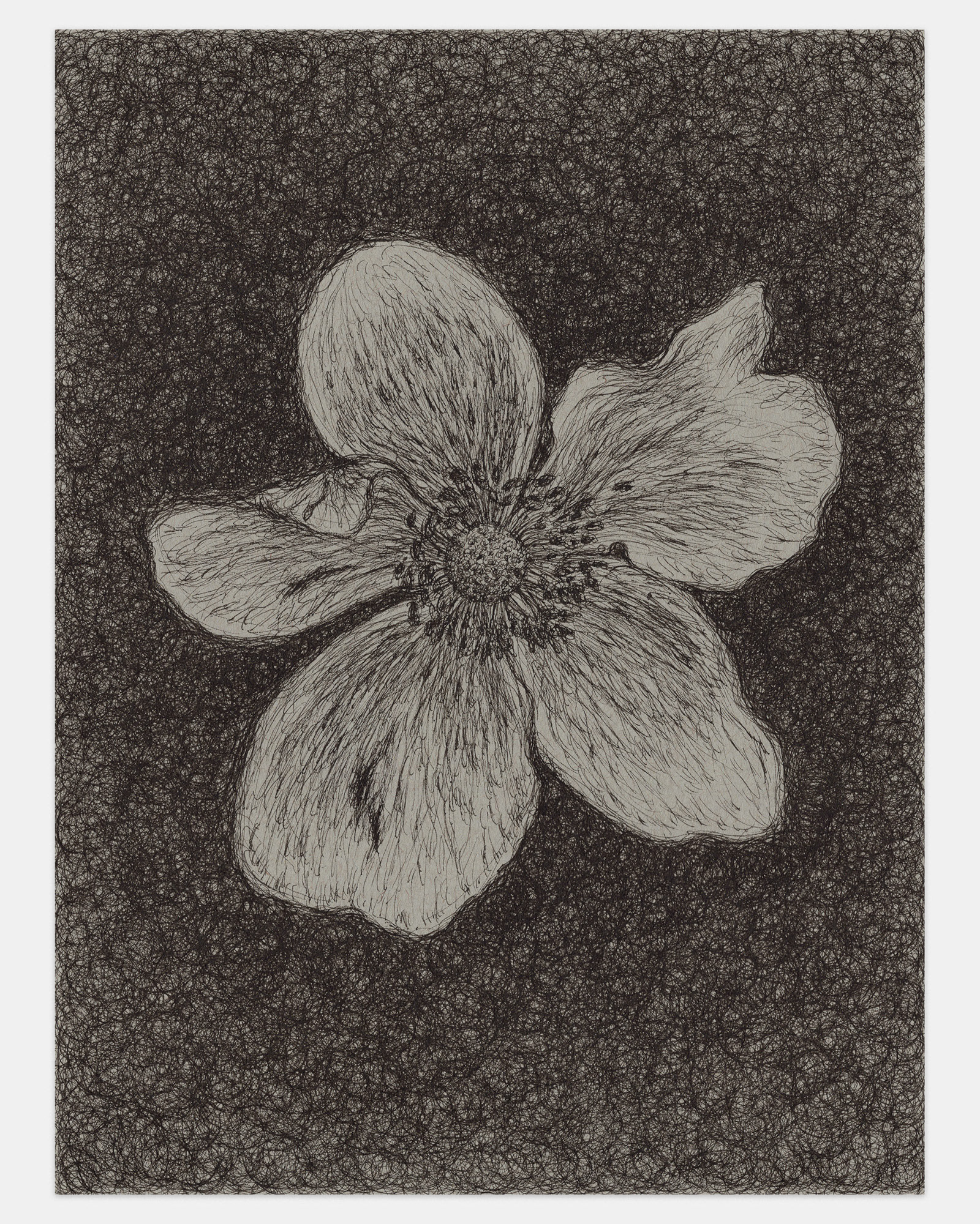 "You Have My Soft Heart", 2022, ink on paper, 12x9 inches