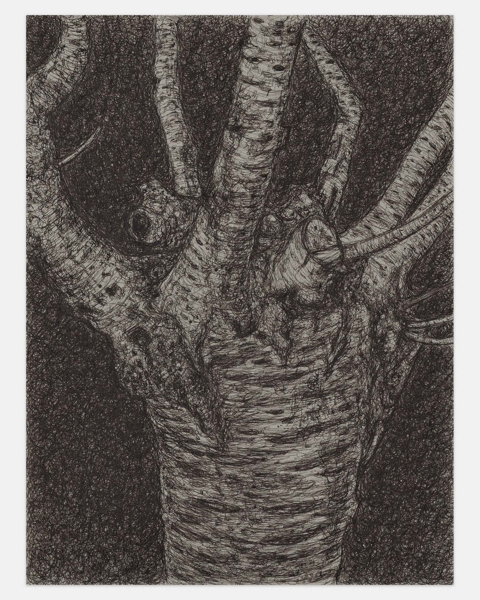 "What Do I Want from You", 2022, ink on paper, 12x9 inches