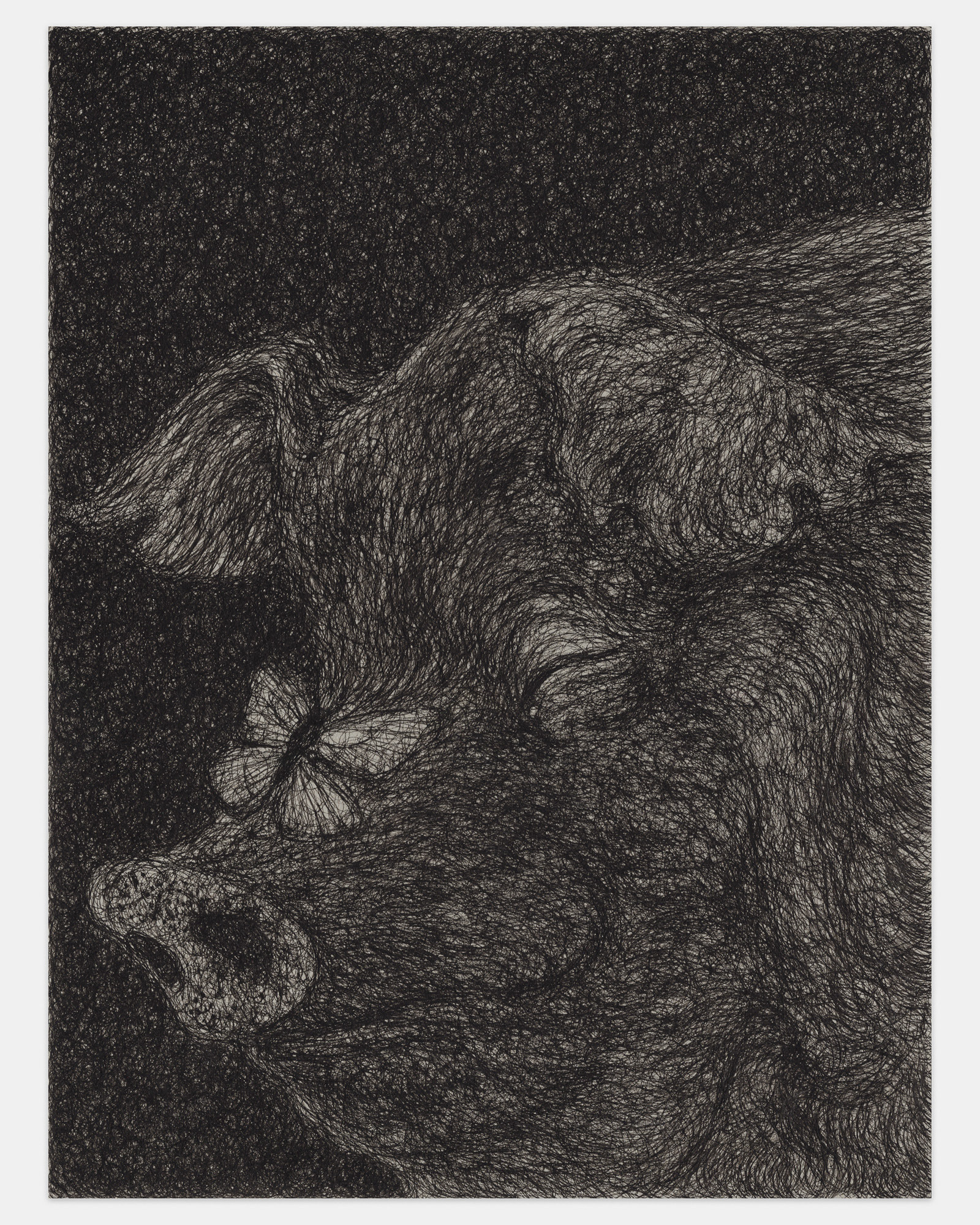 "The Good Kind of Sex", 2024, ink on paper, 12x9 inches