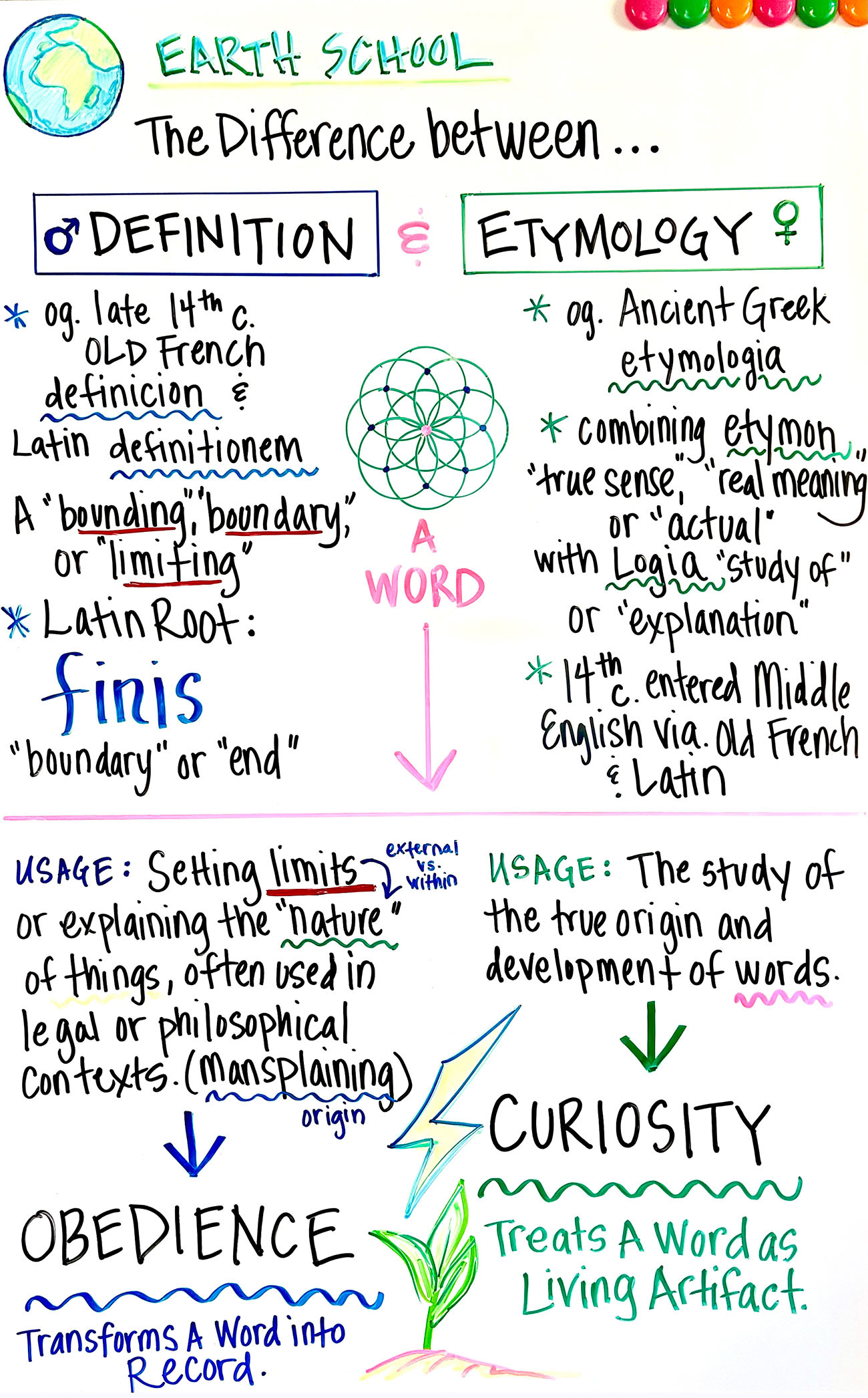 The Difference Between Definition and Etymology - May 13, 2026
