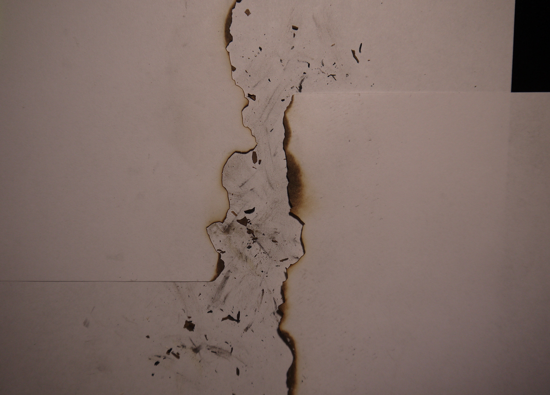 Original Photograph (Back)