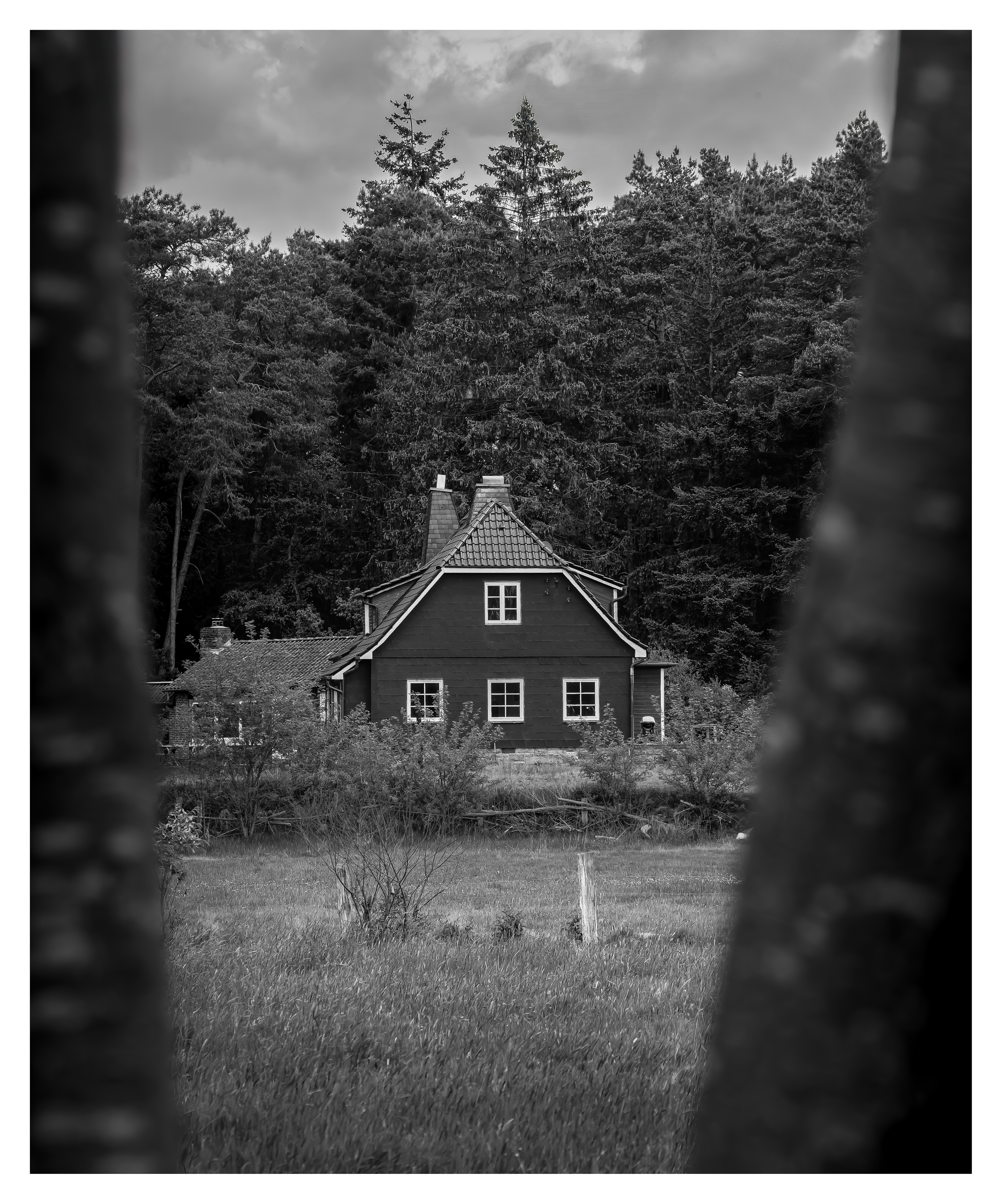 Haus im Wald
