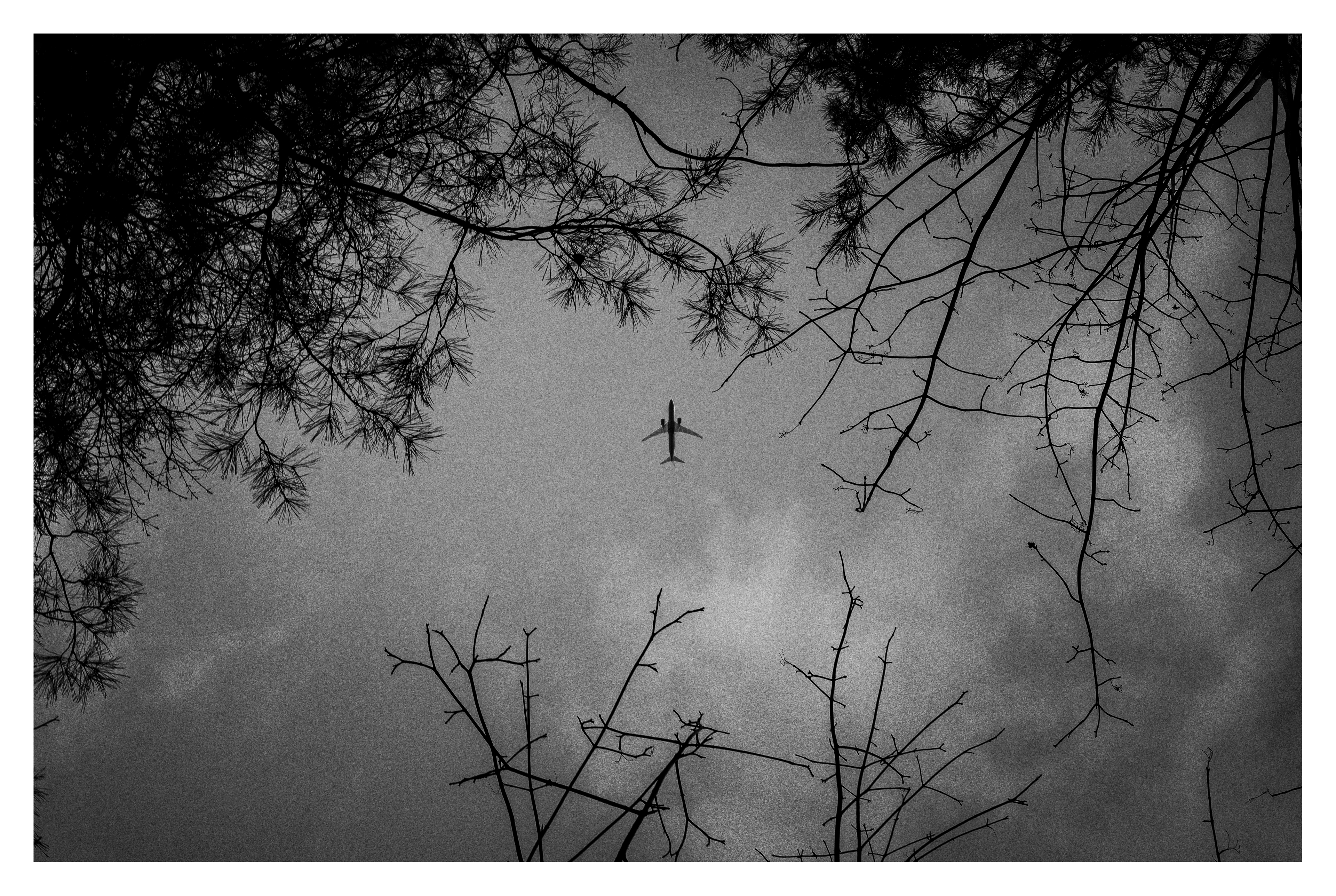 Plane
