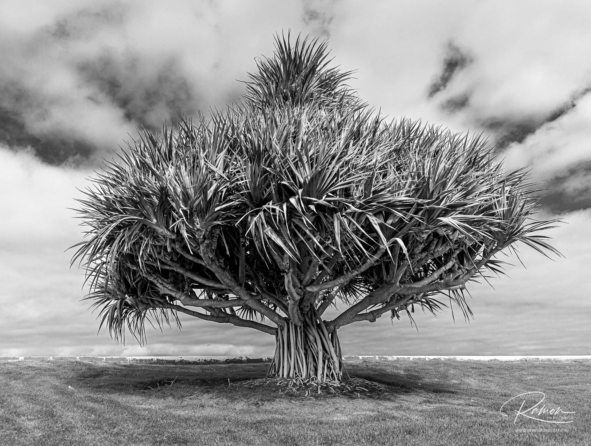 Gran Canaria | Las Palmas