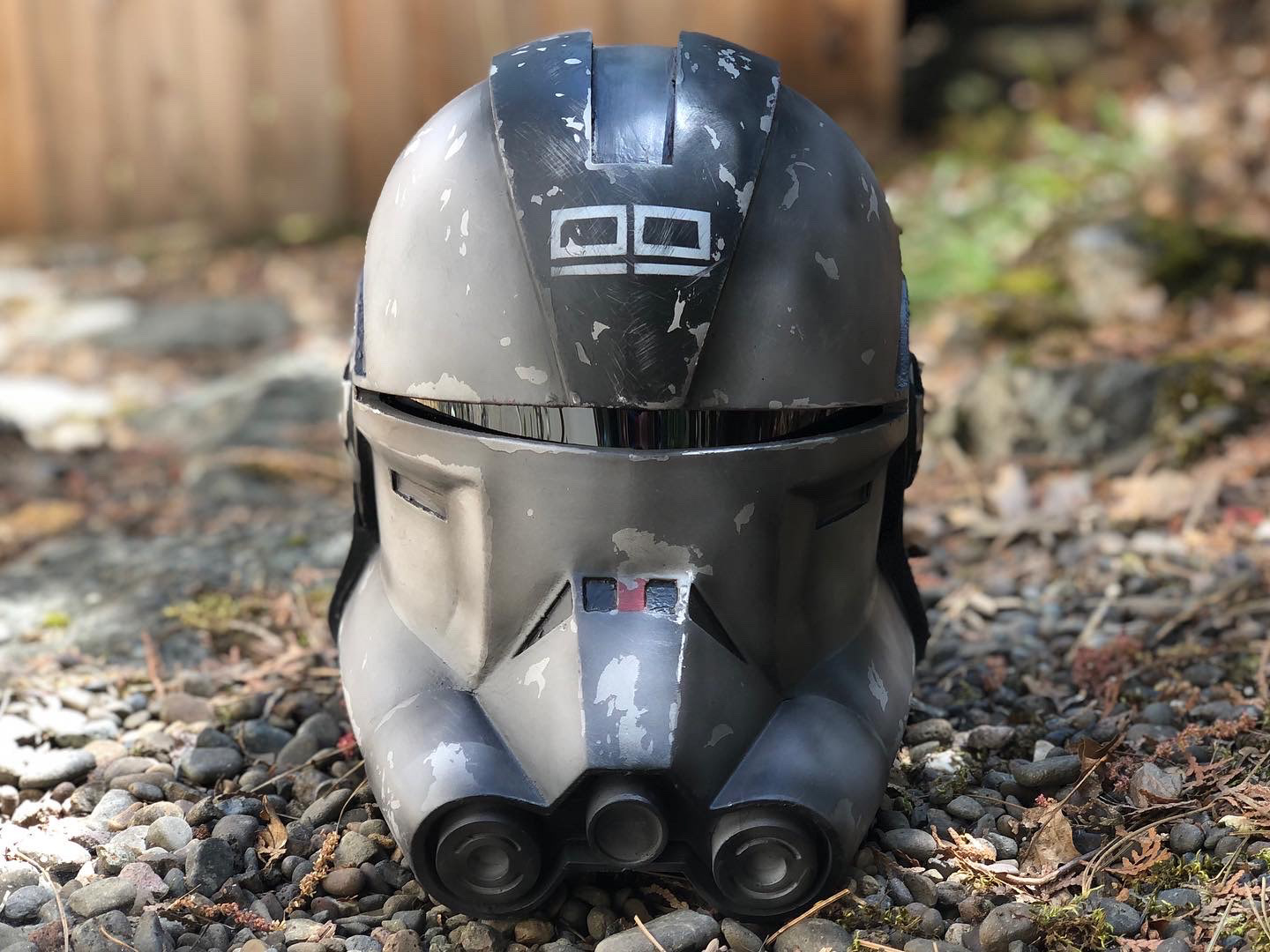 3D Printed Echo helmet. Digital files from Folky Patrol. Jun 2021.